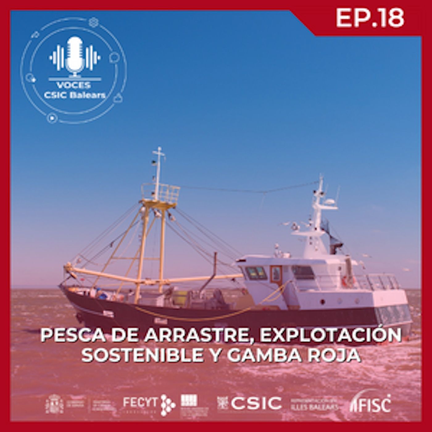Pesca de arrastre, explotación sostenible y gamba roja #18