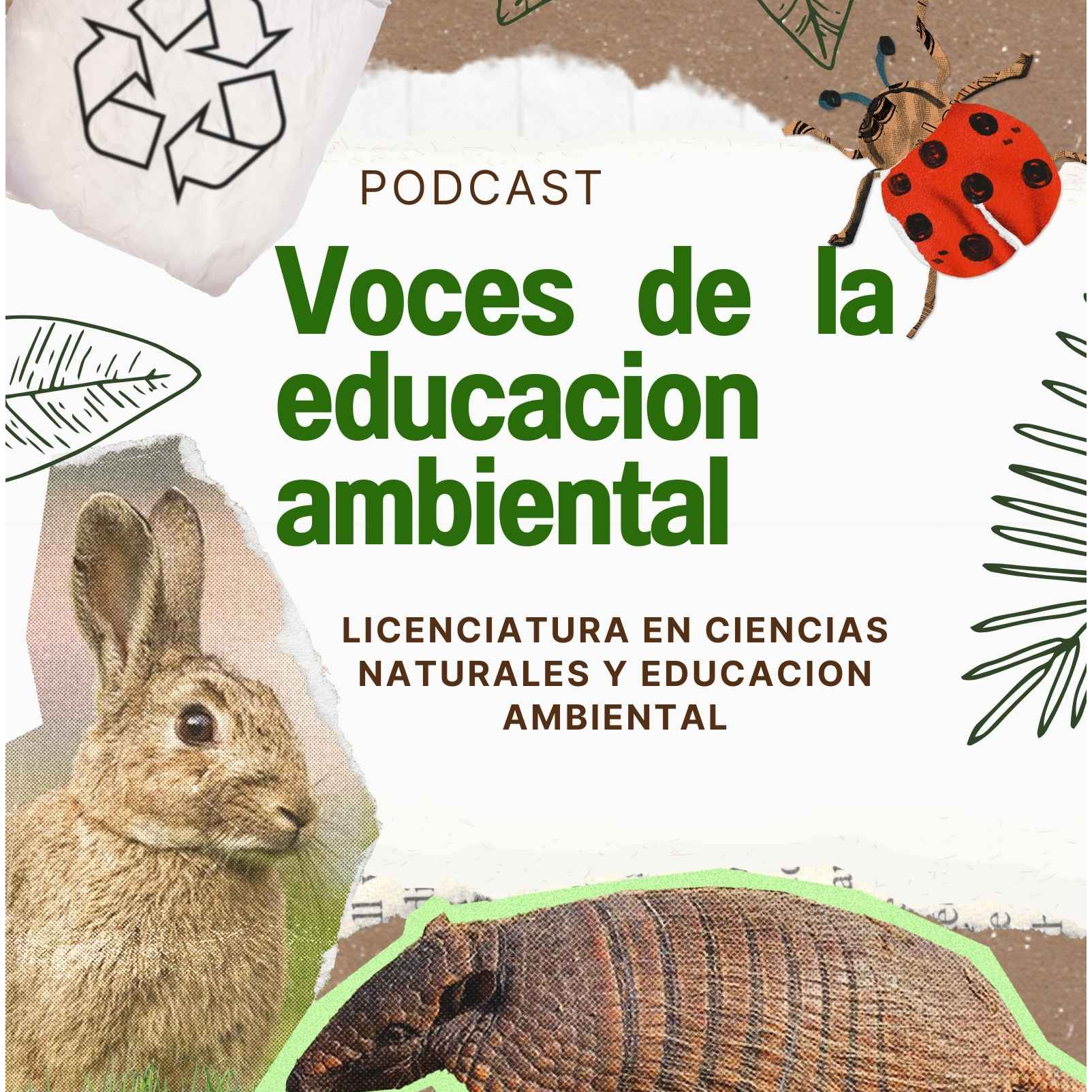 Voces de la Educación Natural o Ambiental podcast artwork