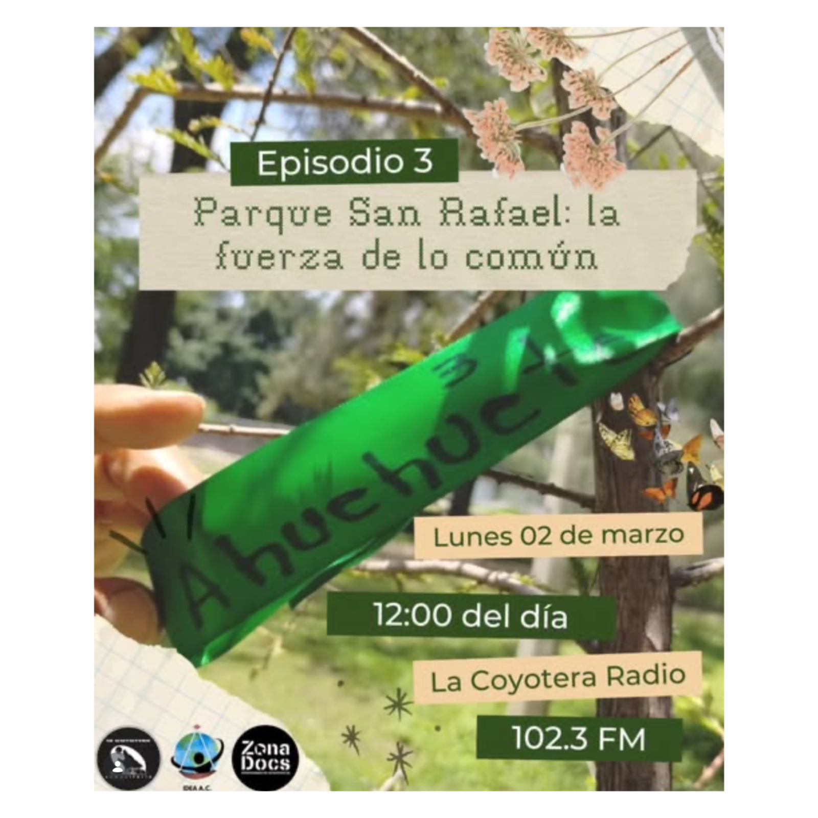 Episodio 3. Parque San Rafael: la defensa de lo común episode artwork