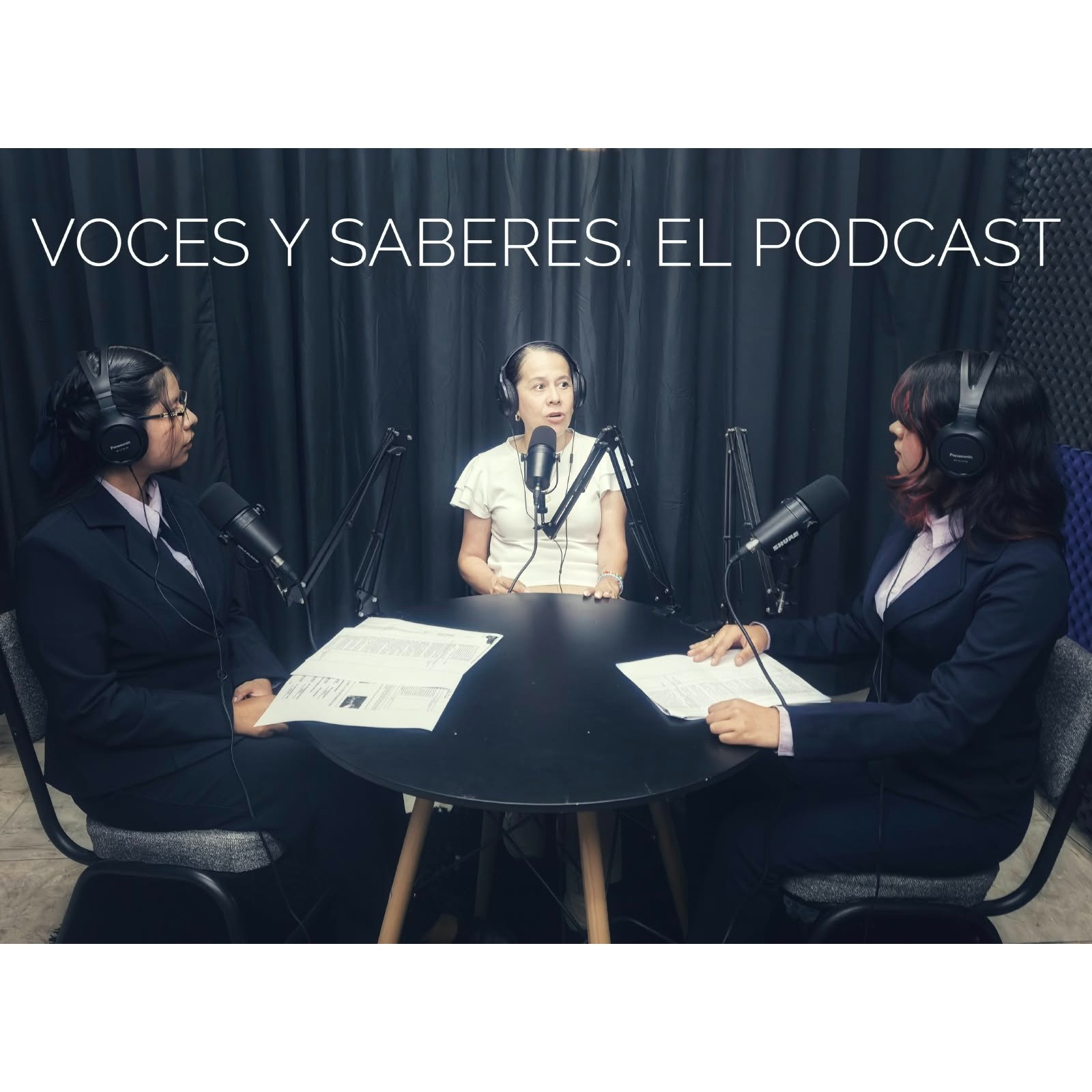 Capítulo 5. Entrevista a Ana Carnalla. Los servicios de educación especial episode artwork