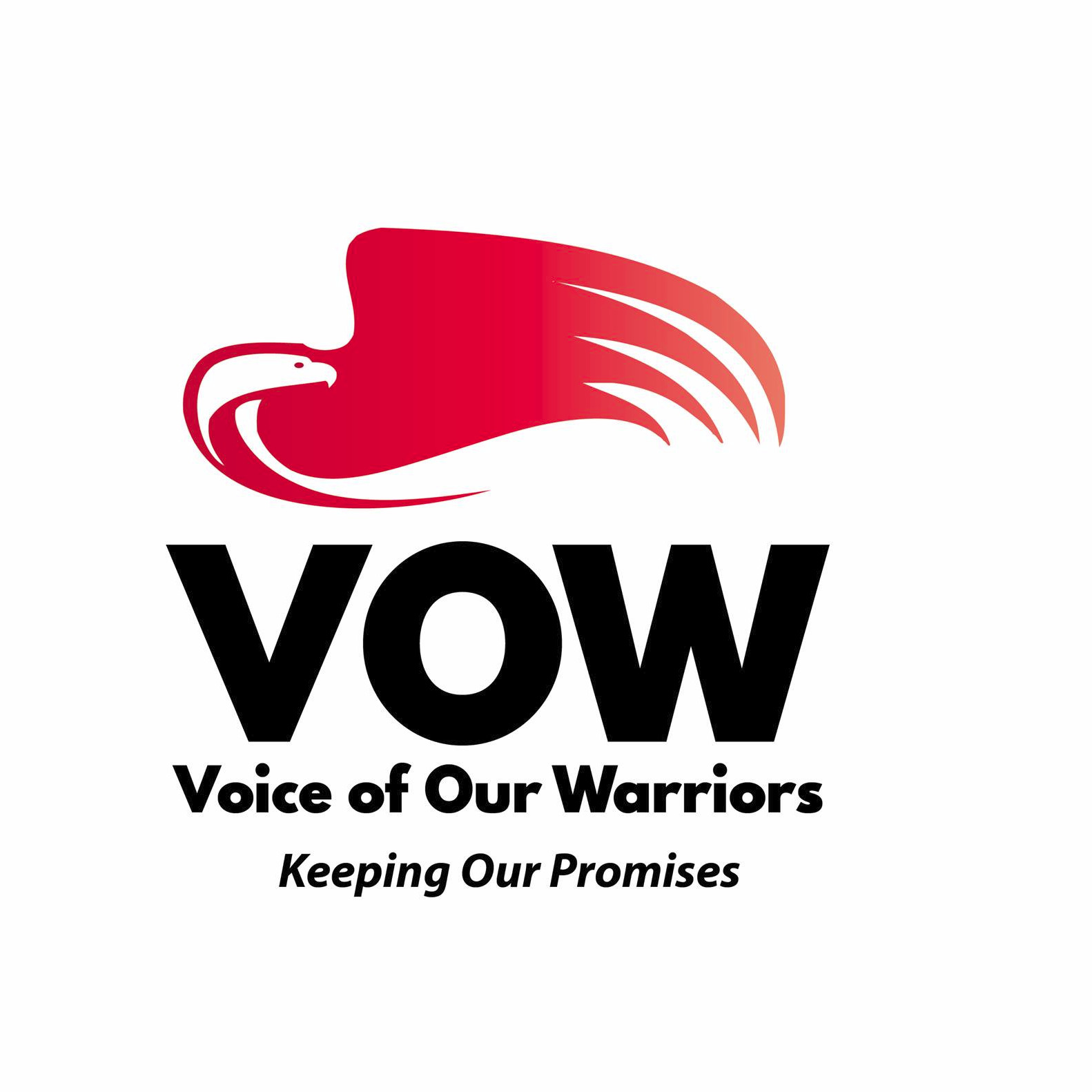 Voice of Our Warriors podcast artwork