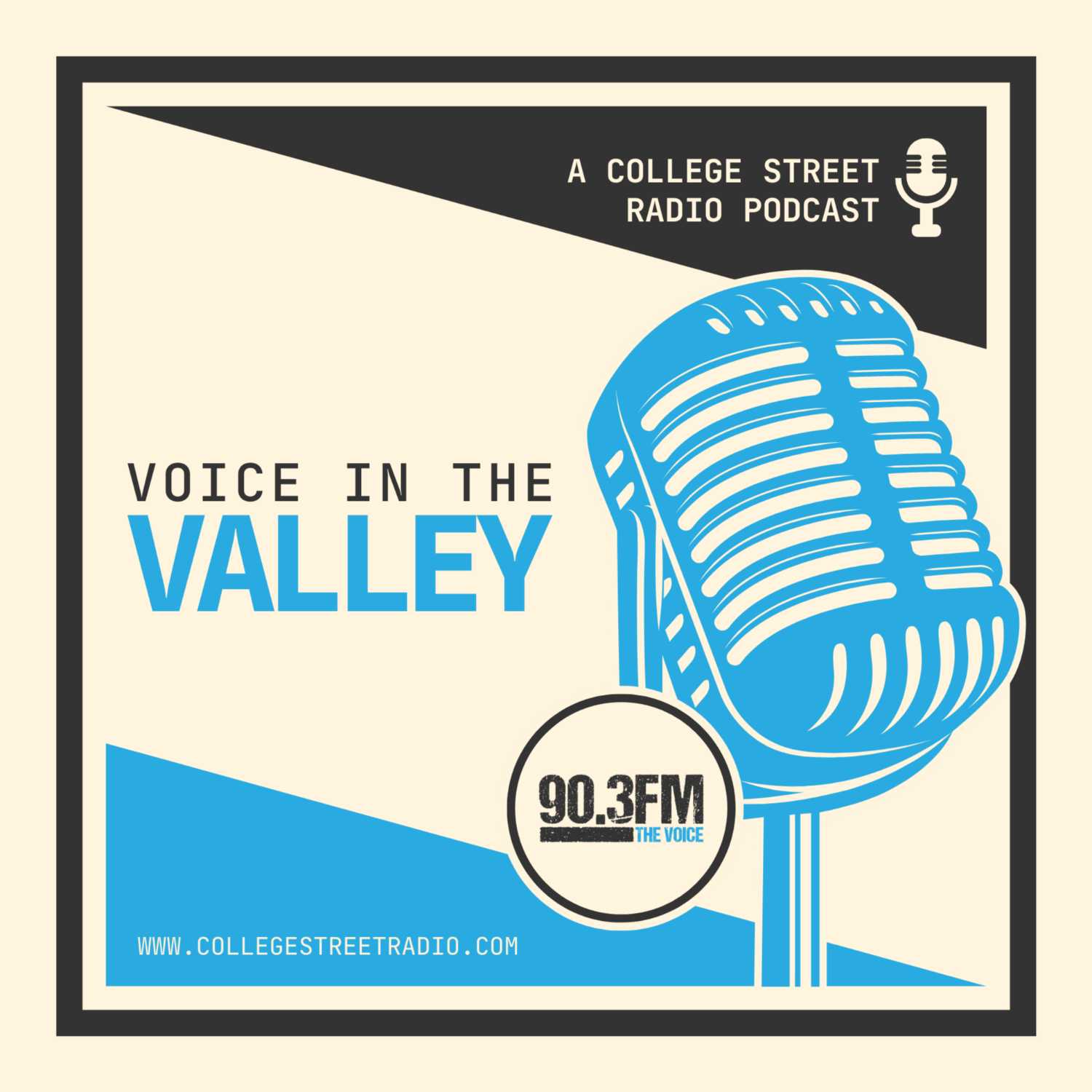 Voice In The Valley Episode 2 (Exclusive interview with Bianca & Keon Raymond) episode artwork