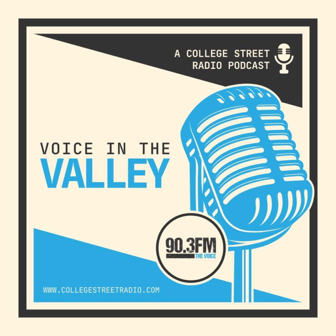 Voice In The Valley Episode 7 (Exclusive interview with Vincent Perron) episode artwork