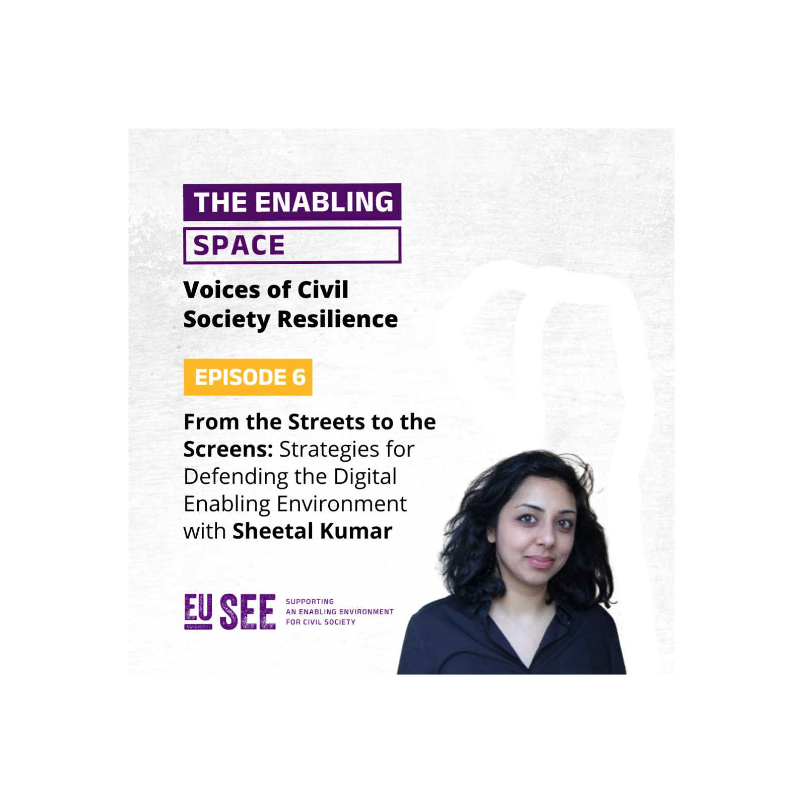 From the Streets to the Screens: Strategies for Defending the Digital Enabling Environment  episode artwork