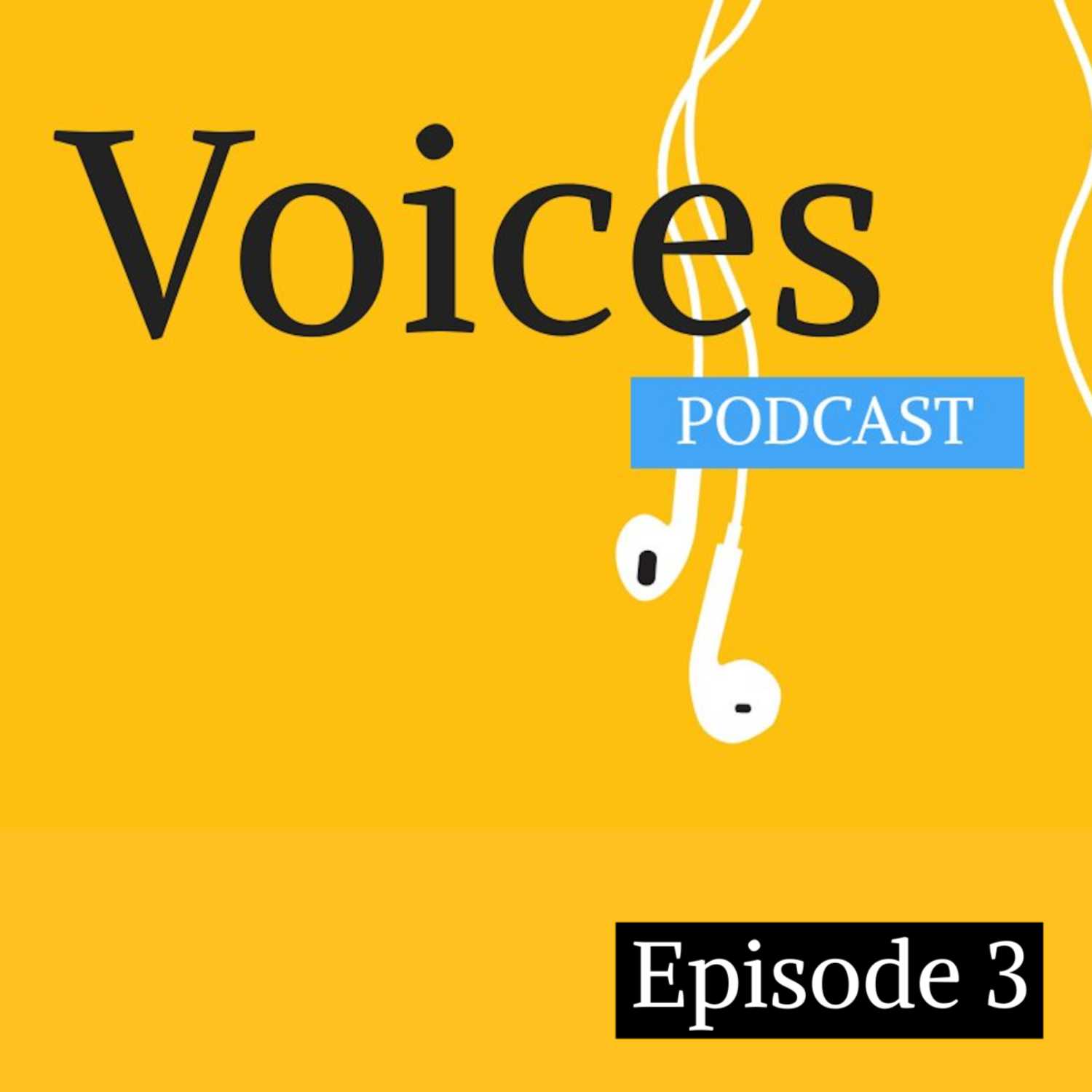 Social Justice Voices Podcast