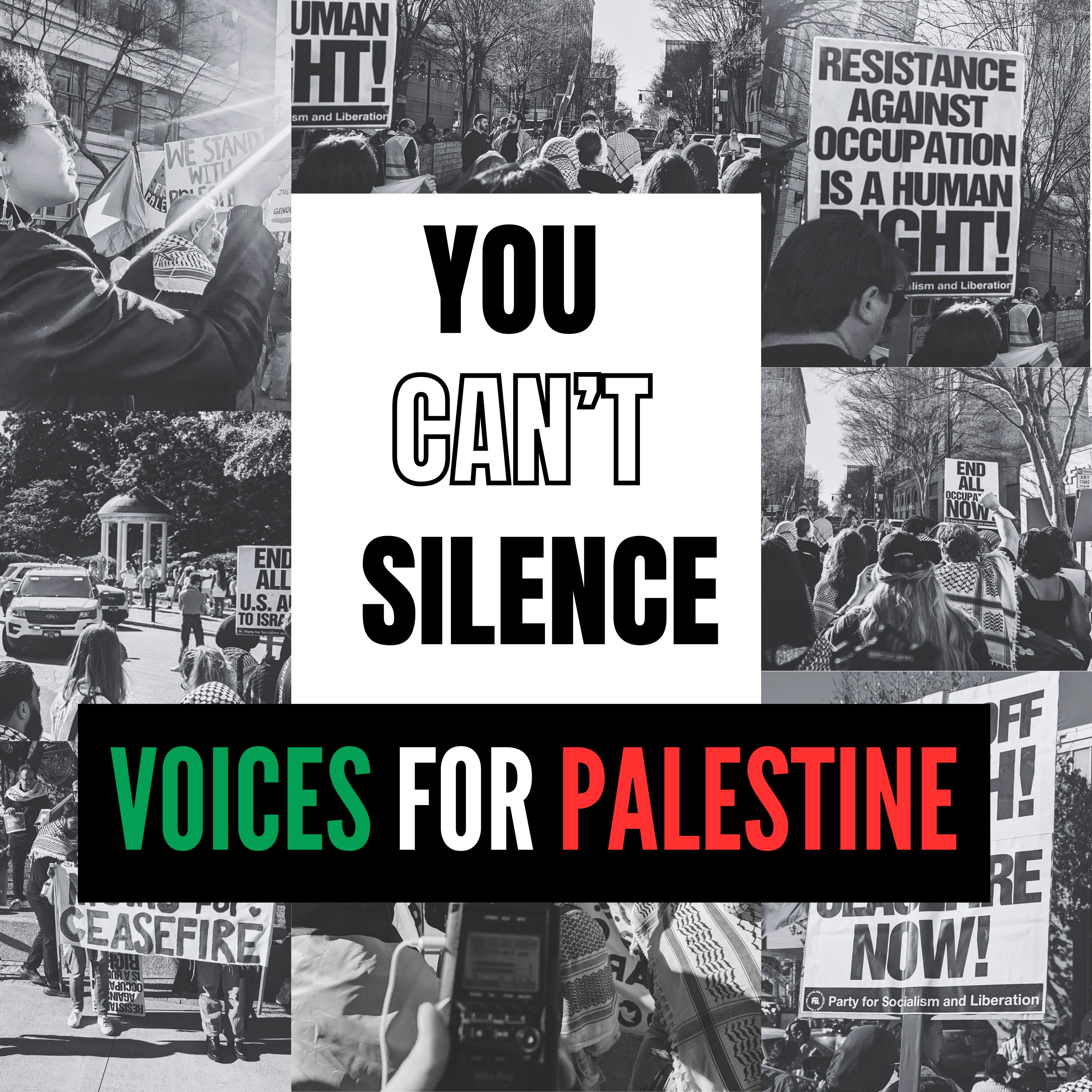 Voices for Palestine