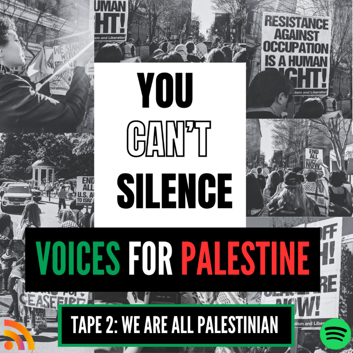 We Are All Palestinian  episode artwork