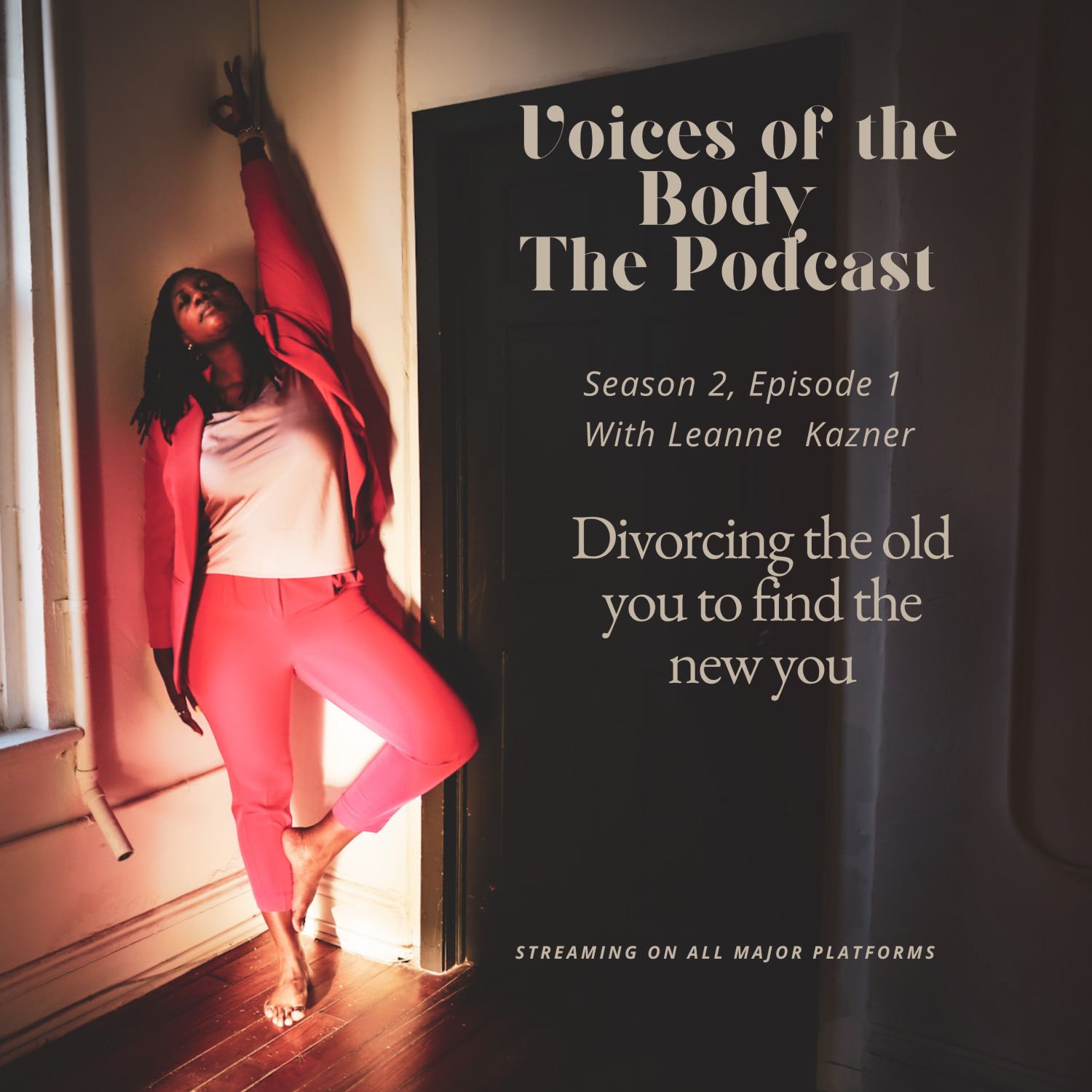 Soul Work with Love The Podcast