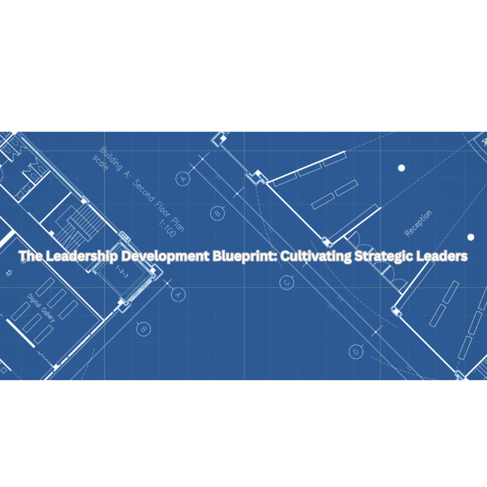 The Leadership Development Blueprint: Cultivating Strategic Leaders episode artwork