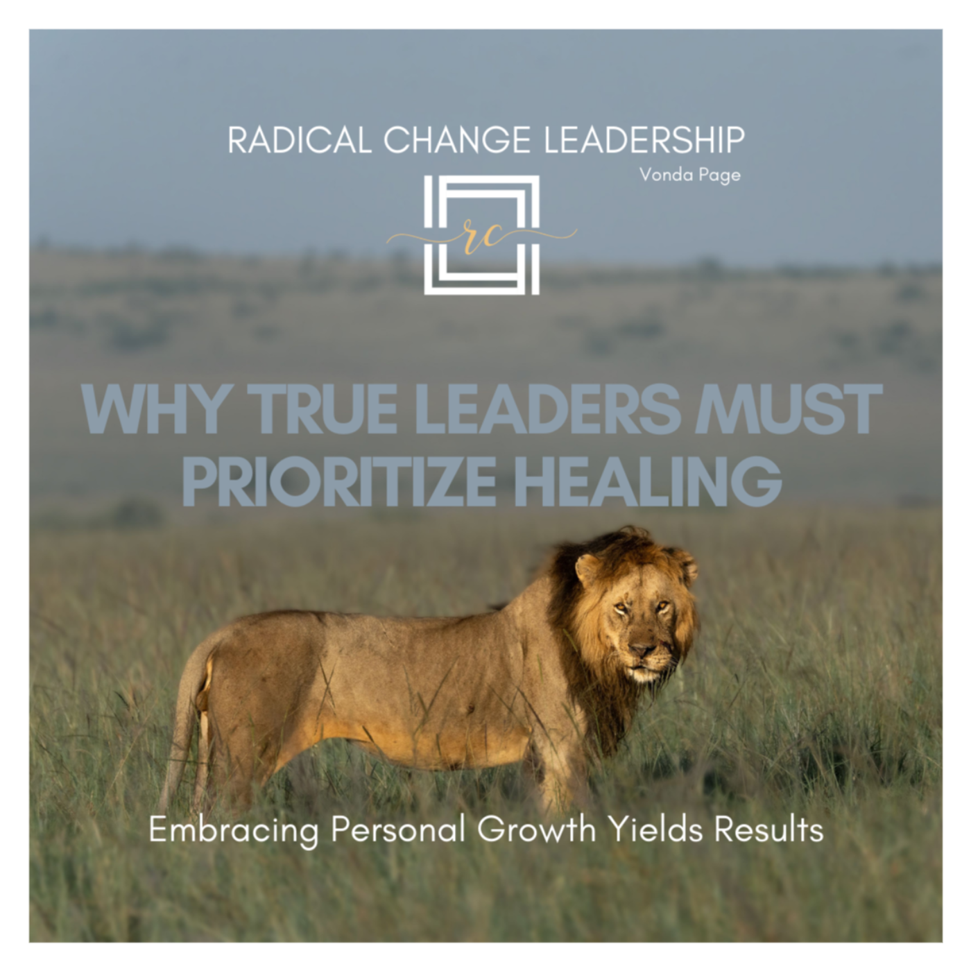 Radical Change Leadership Podcast