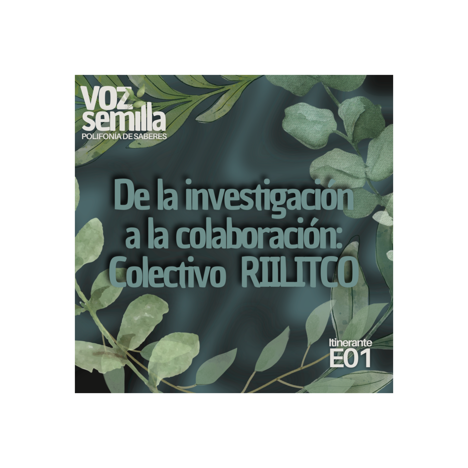 Voz Semilla. Polifonía de saberes