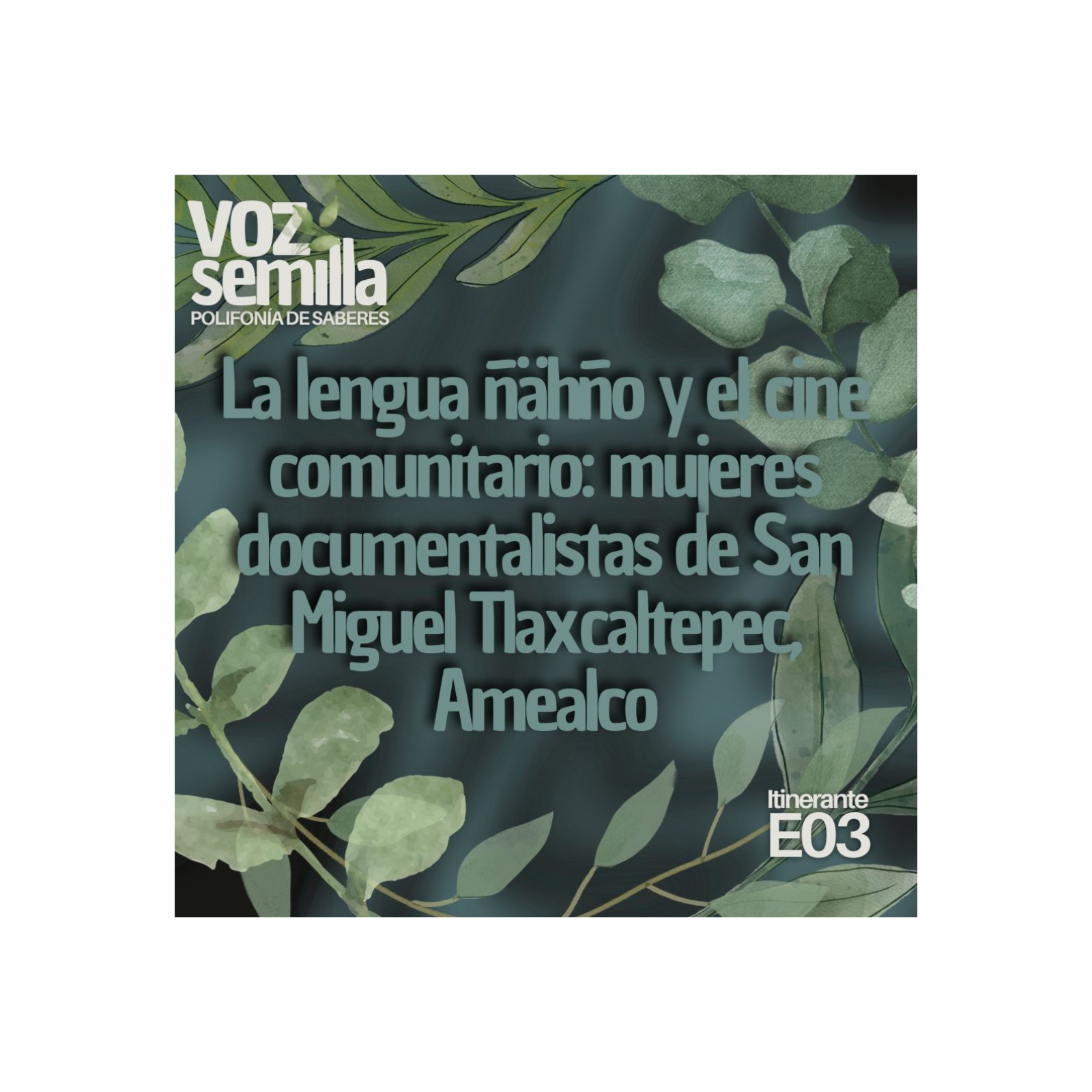 Voz Semilla. Polifonía de saberes
