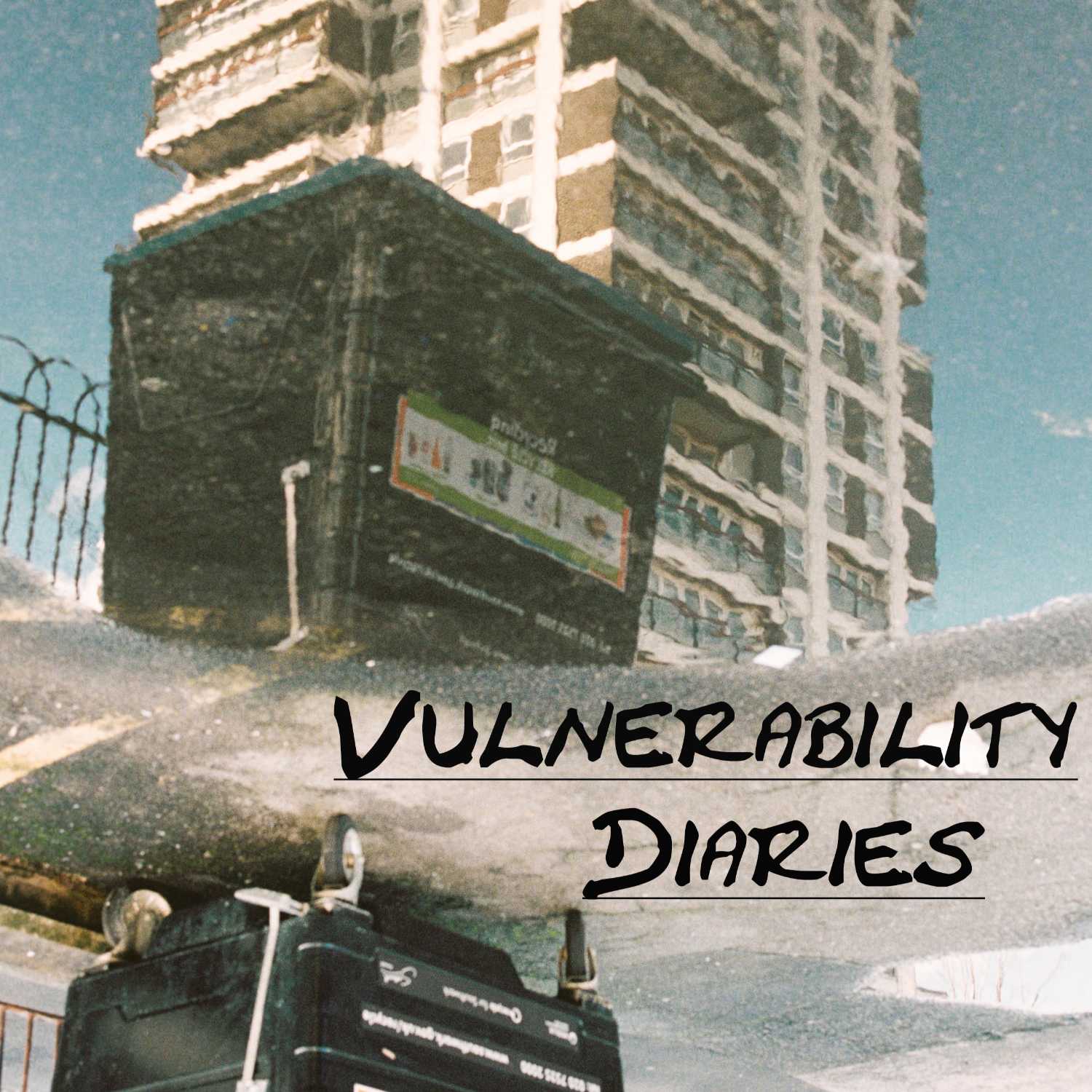 Vulnerability Diaries cover art