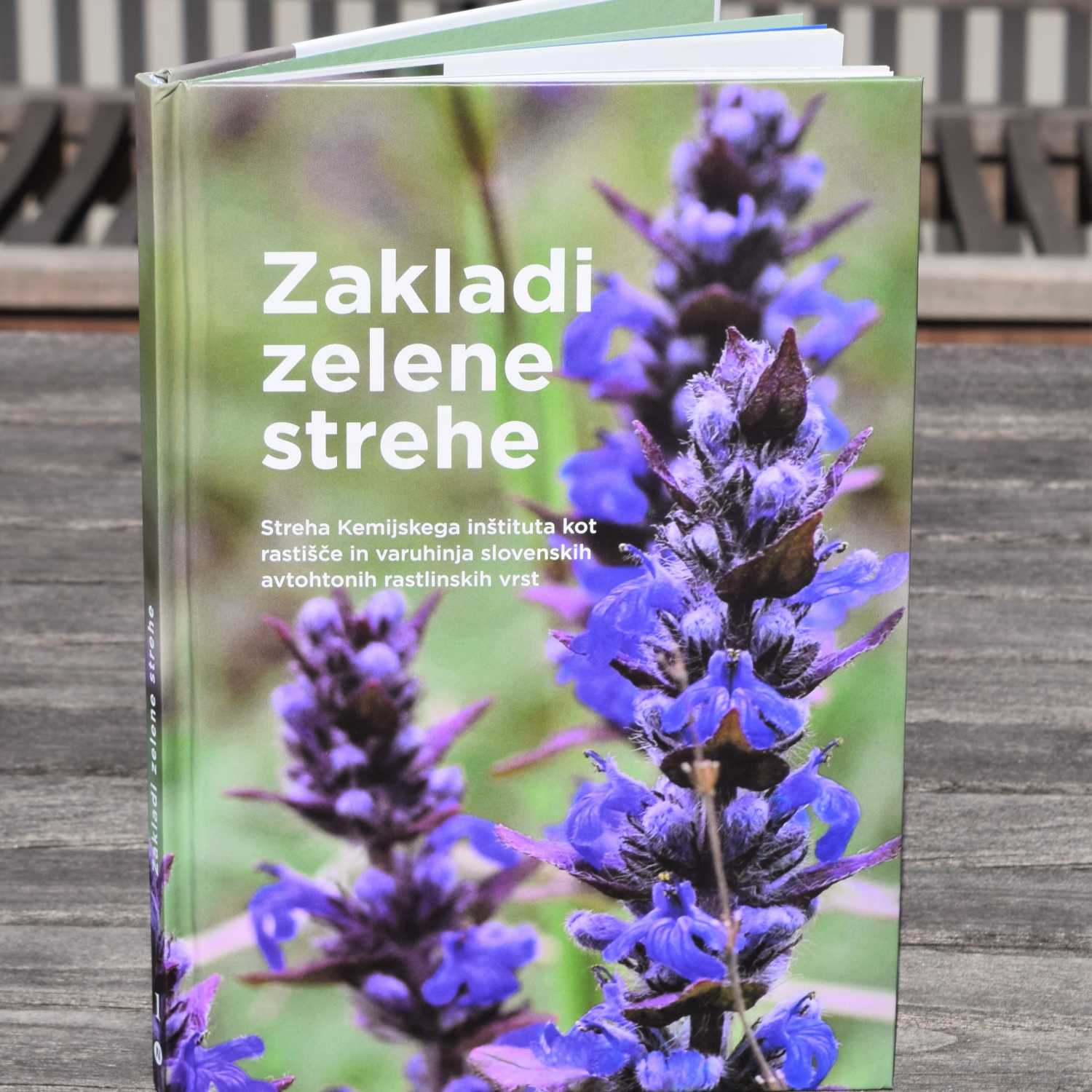 #6 - Jože Bavcon in Blanka Ravnjak: Zelene strehe - s skalne police na strehe mestnih stavb episode artwork