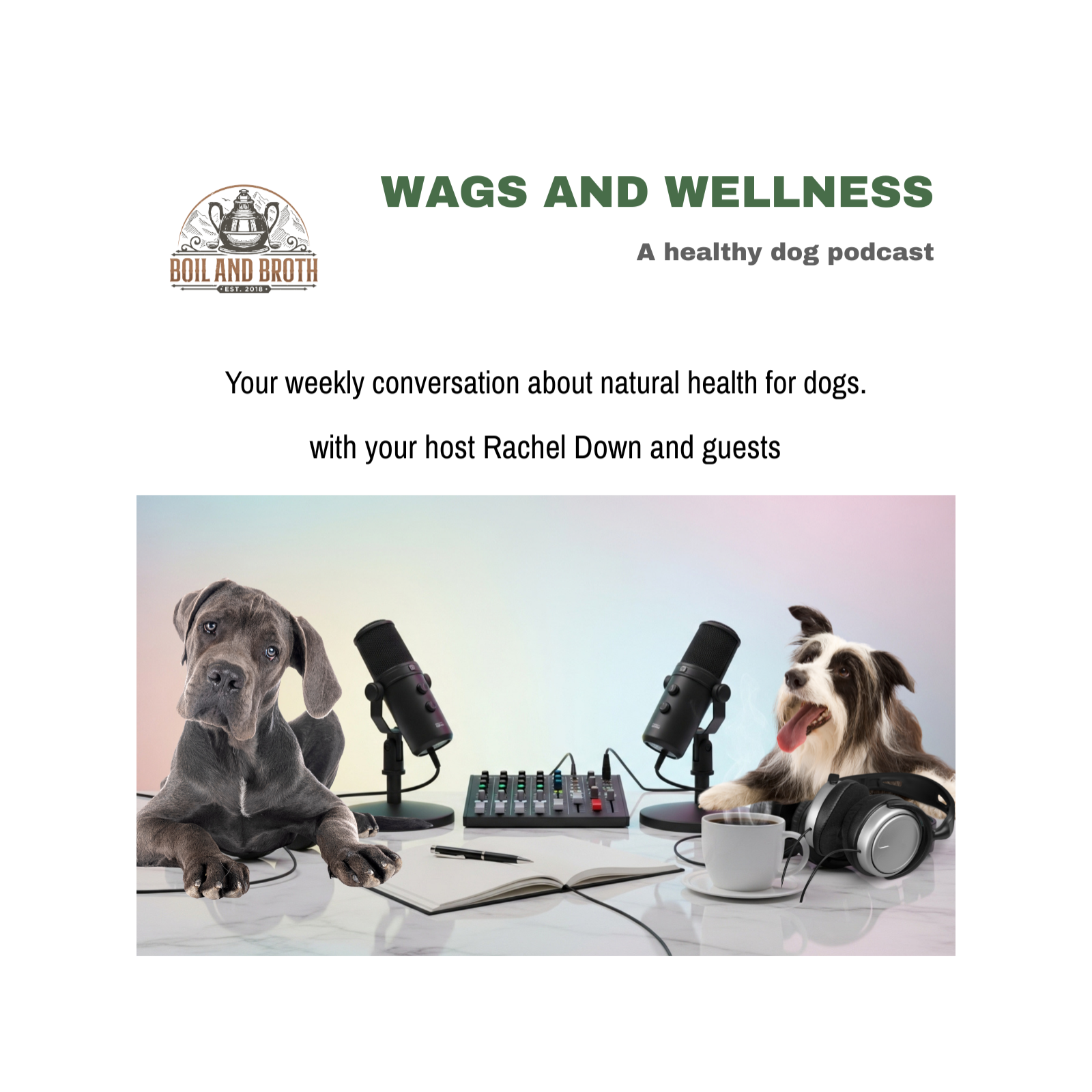 Wags & Wellness - A Healthy Dog Podcast with Boil and Broth