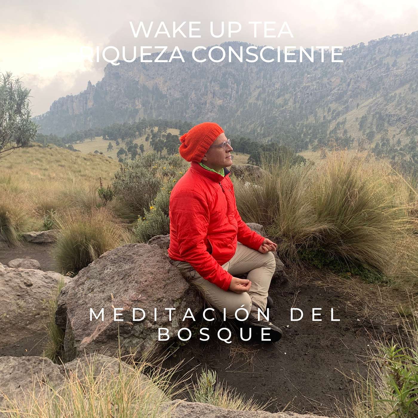 Wake Up Tea Riqueza Consciente