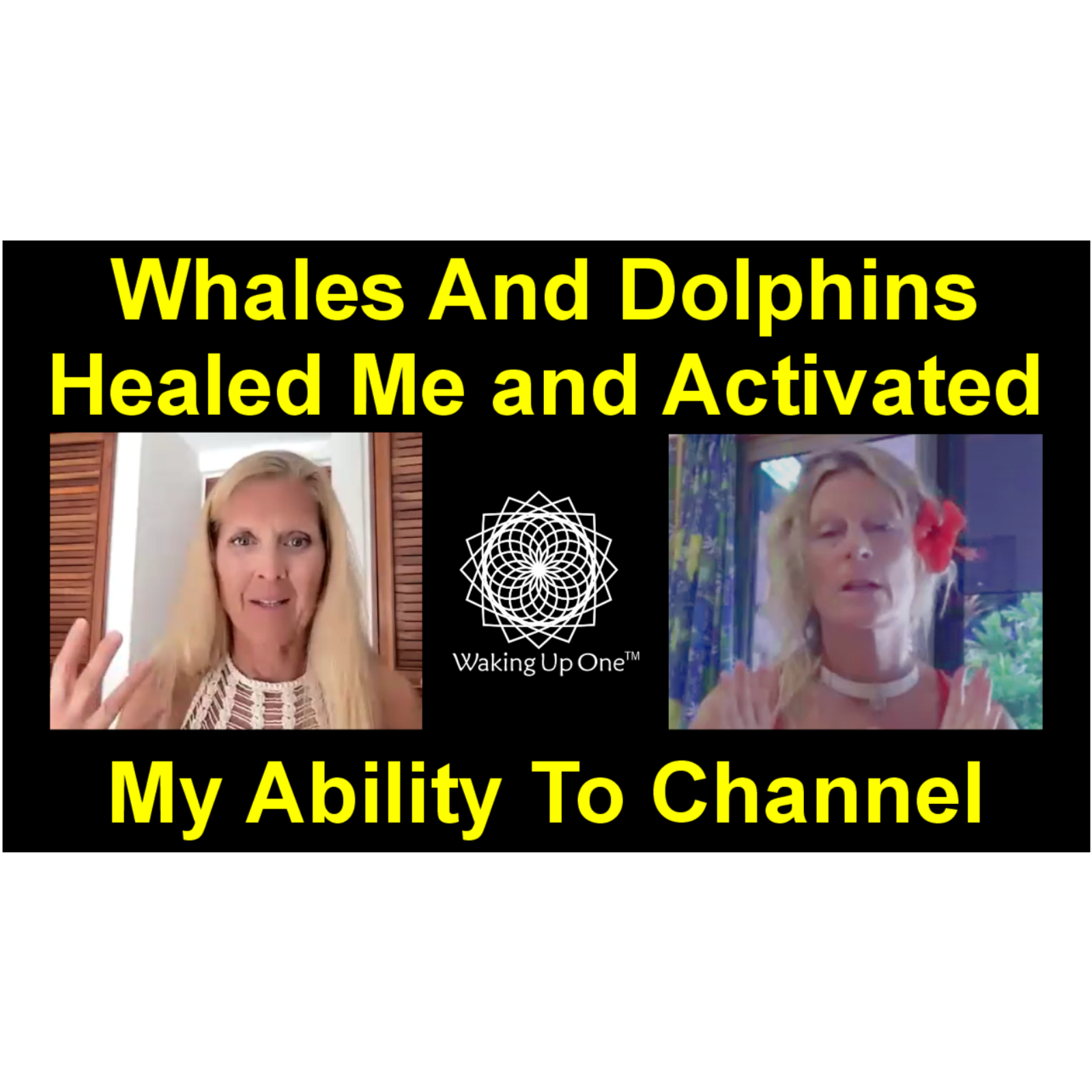 Whales and Dolphins Healed Me and Activated My Ability to Channel – Janie and Mahalia “Mermaid” Michael