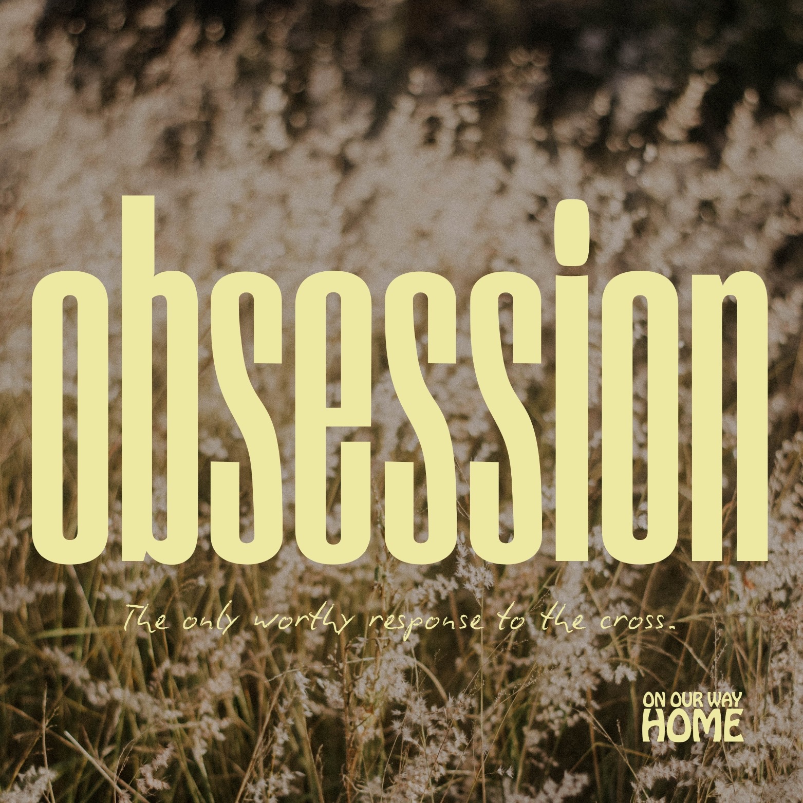Obsession episode artwork