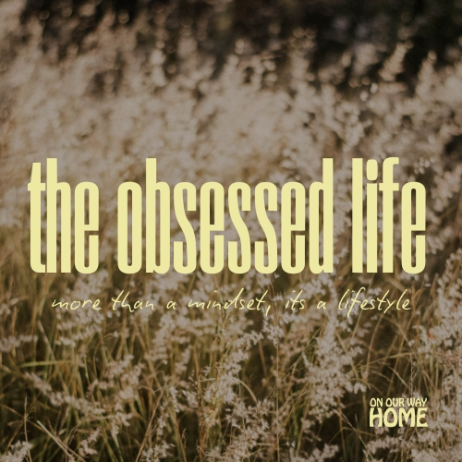 the obsessed life episode artwork