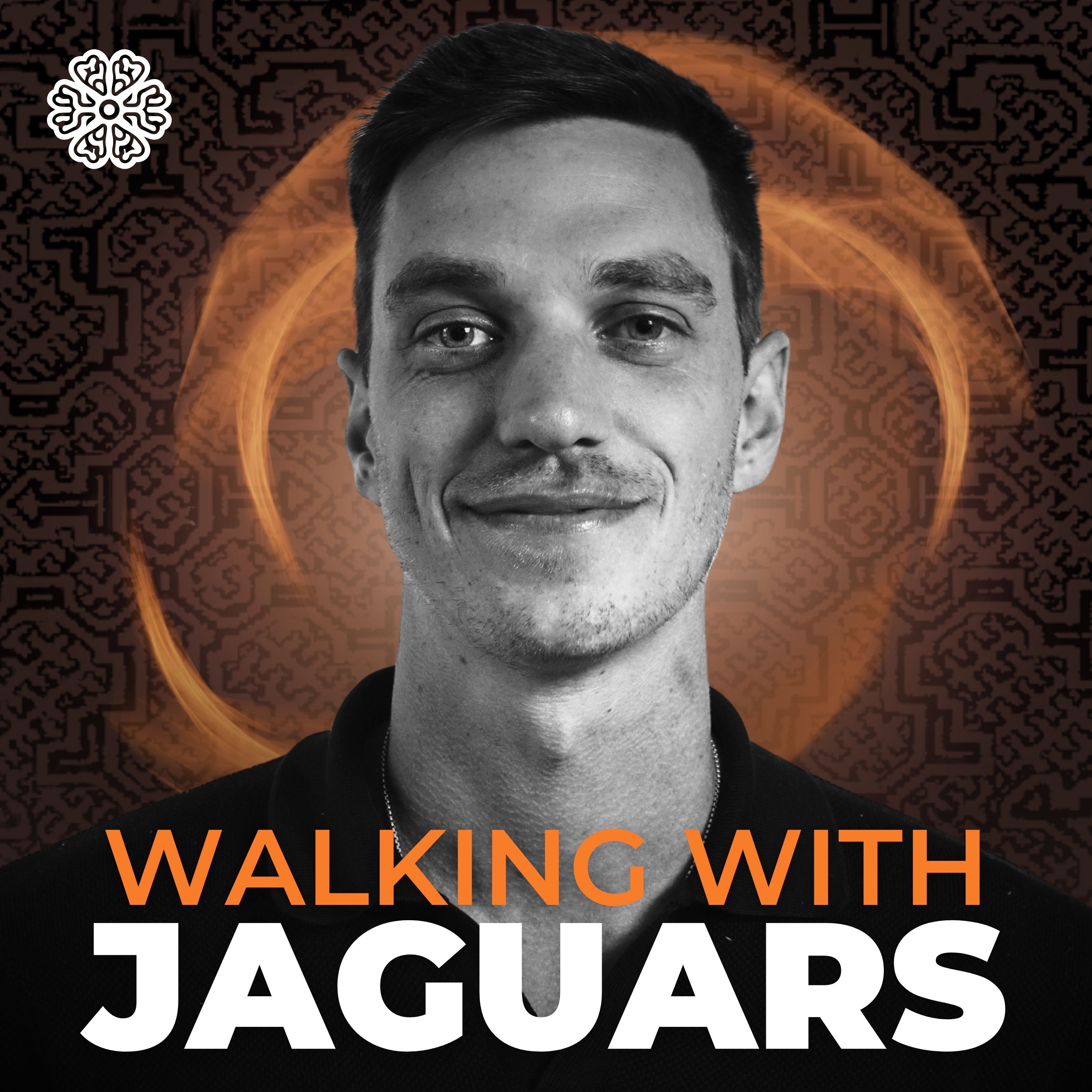Walking with Jaguars