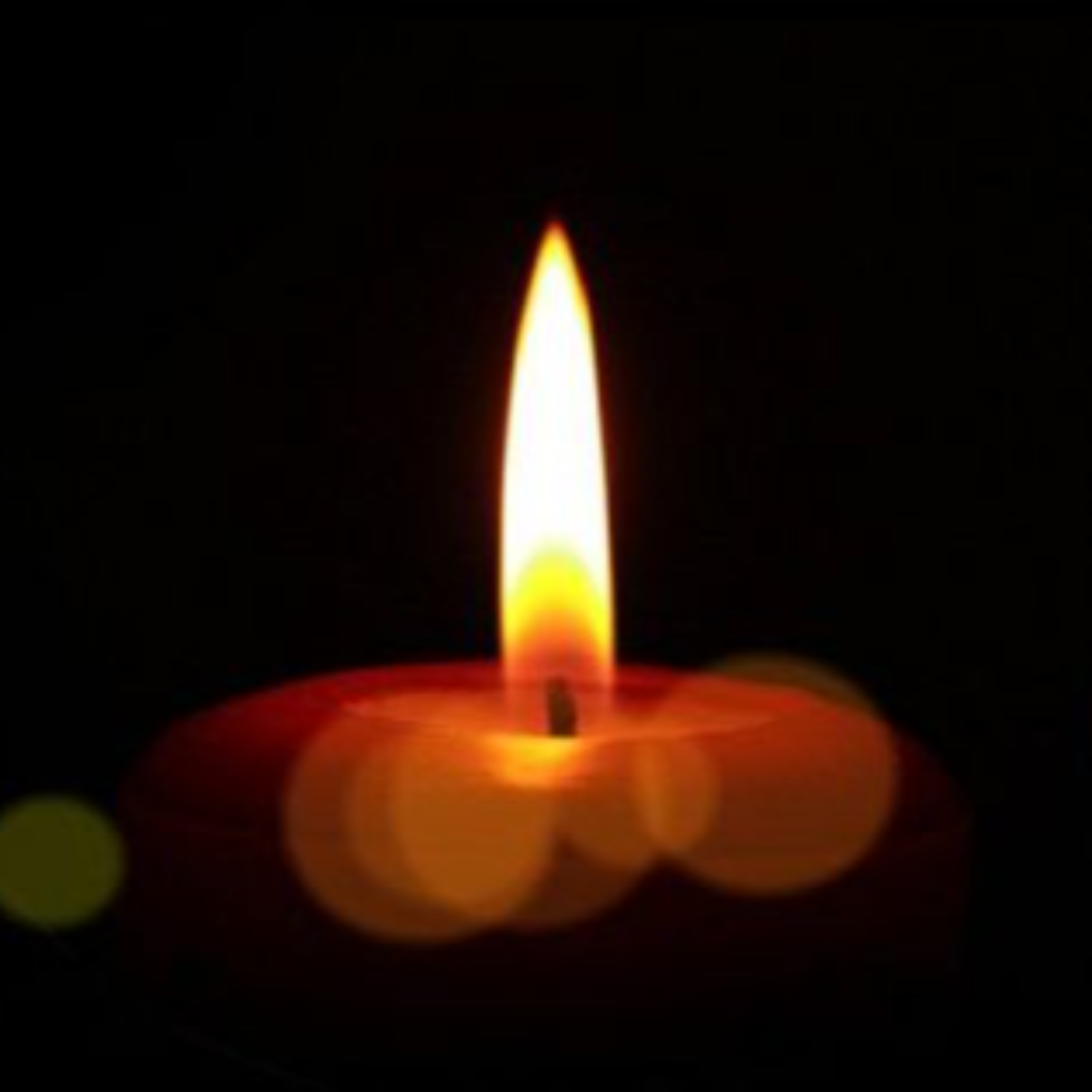 Walking with the Word - A Simple Catholic Gospel Reflection