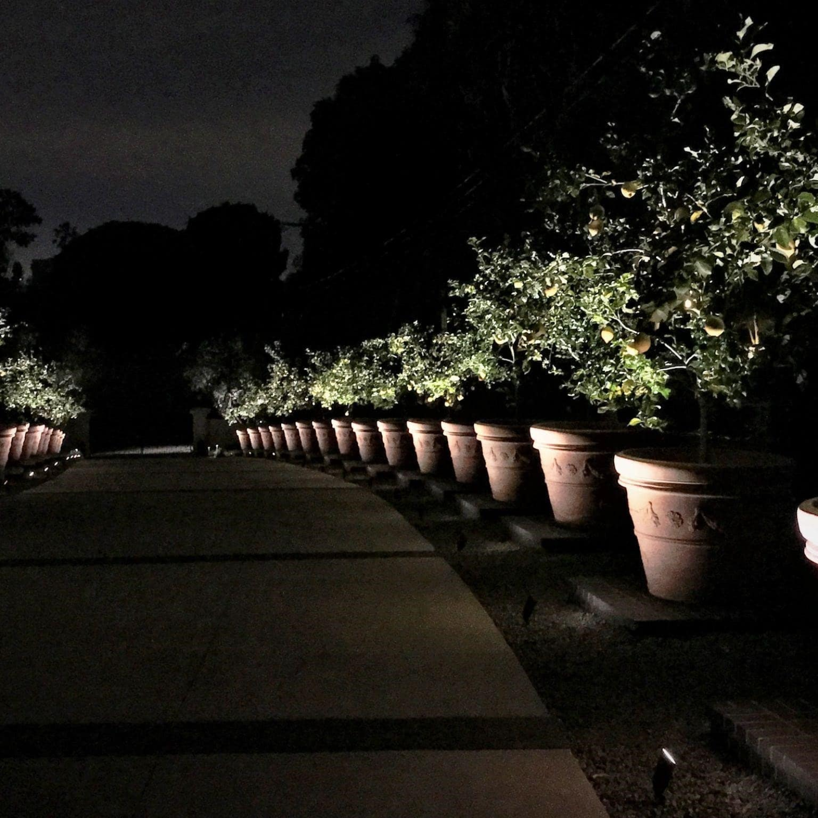 Walking with the Word - A Simple Catholic Gospel Reflection