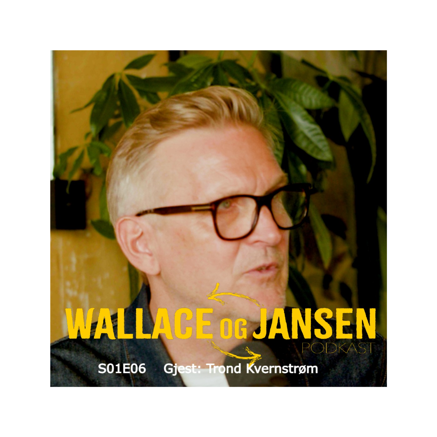Wallace og Jansen
