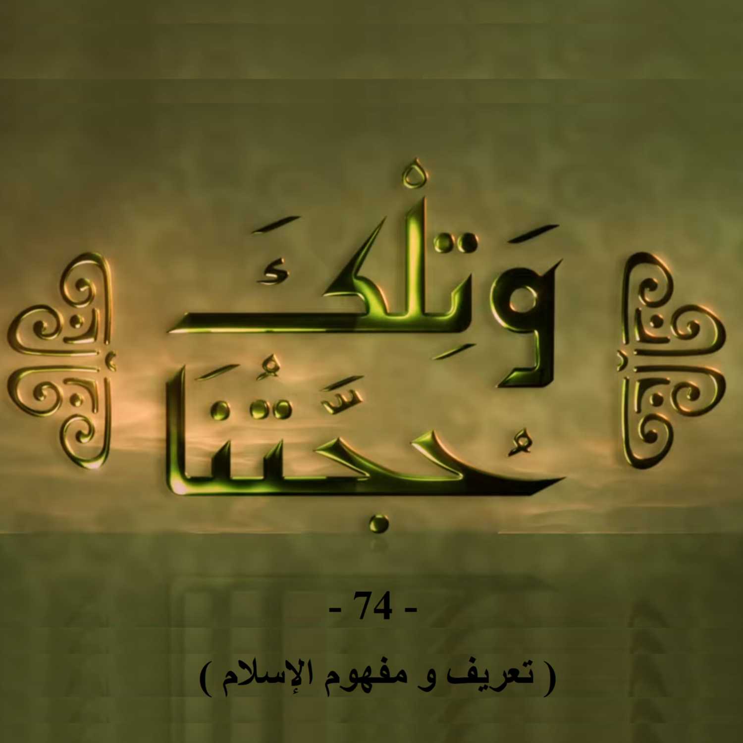 و تلك حجتنا - 74 - ( تعريف و مفهوم الإسلام )