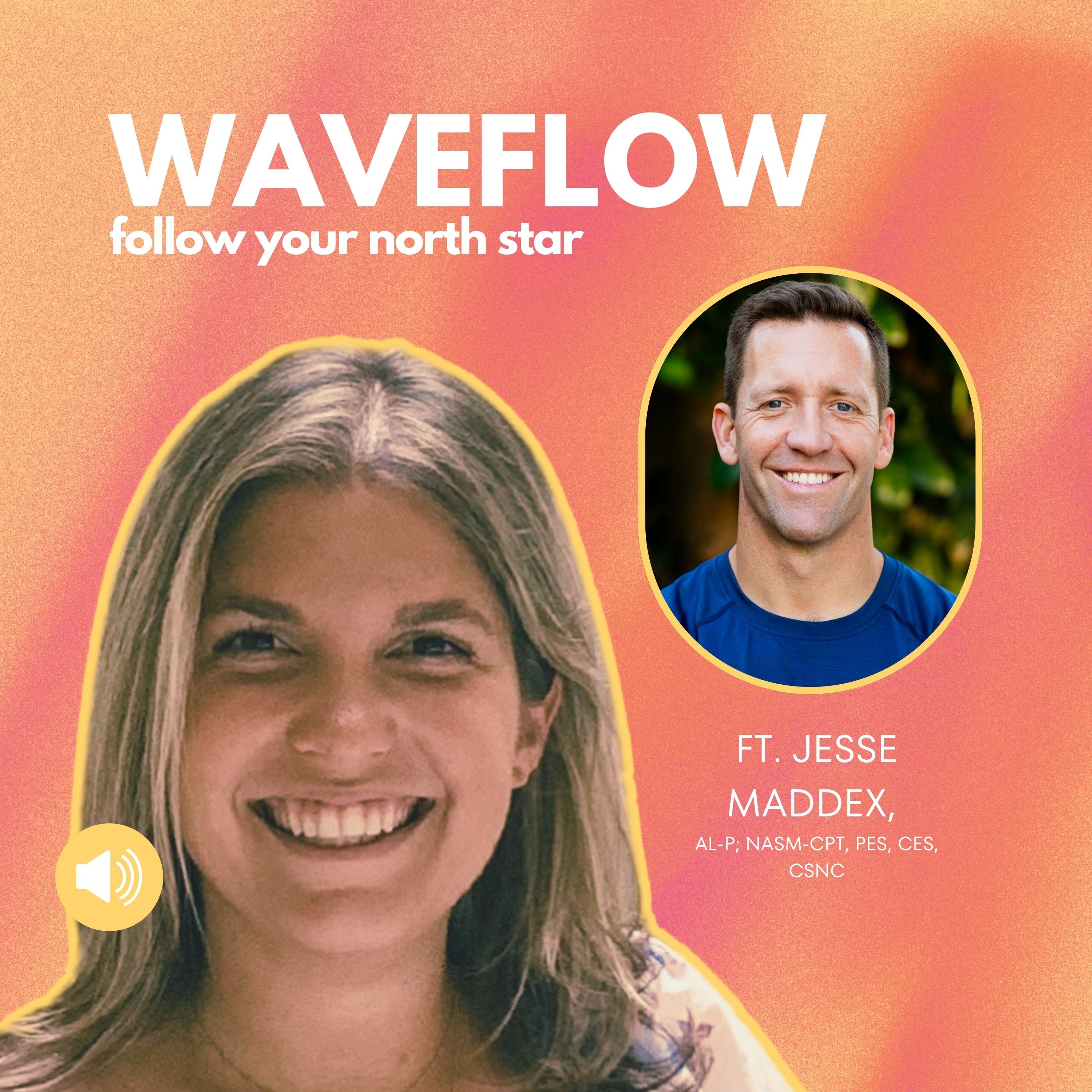 The Waveflow Practice