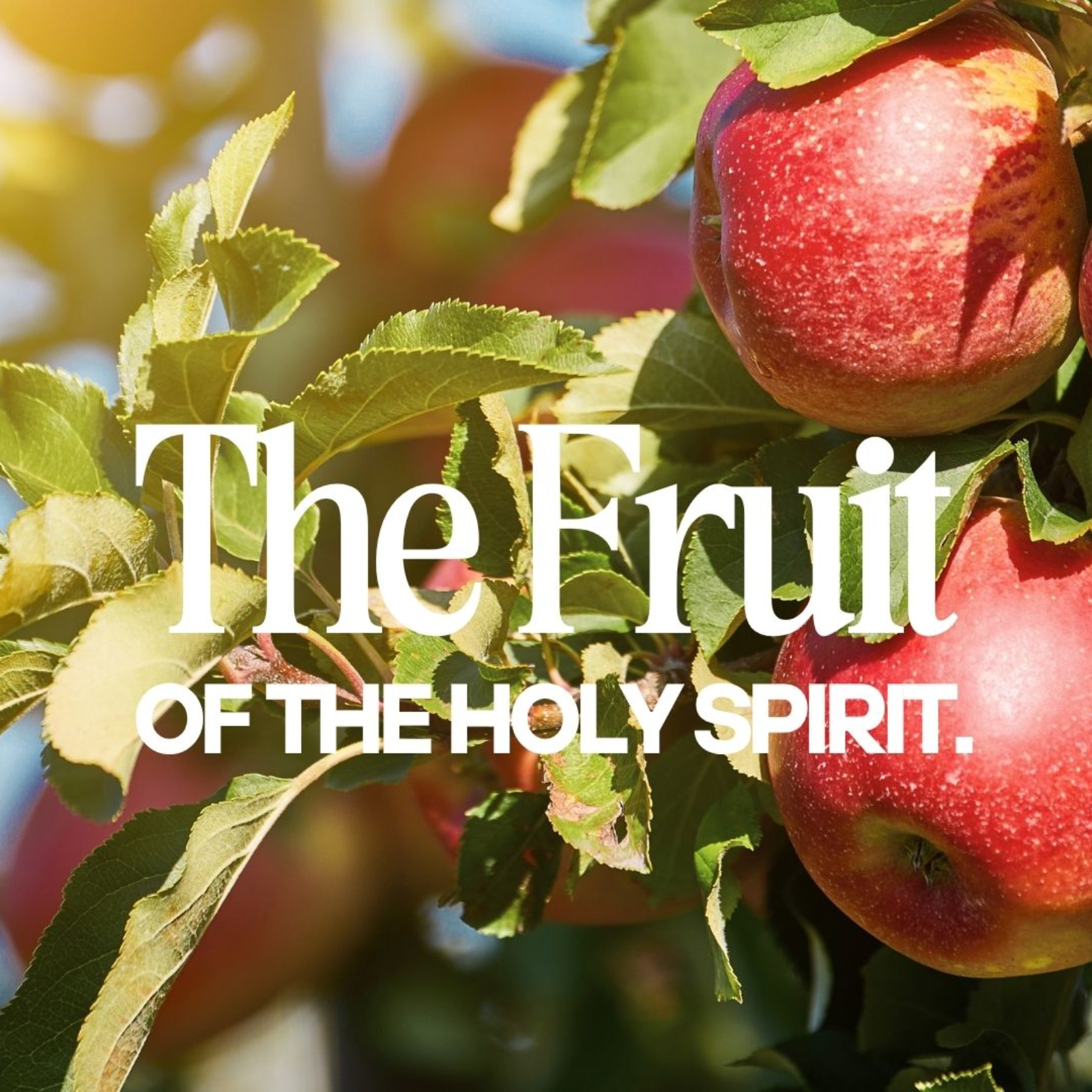 Fruit of The Holy Spirit  episode artwork