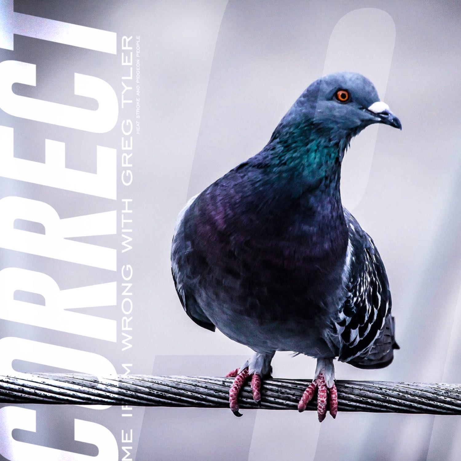Correct Me If I'm Wrong: Heat Stroke And Pigeon People