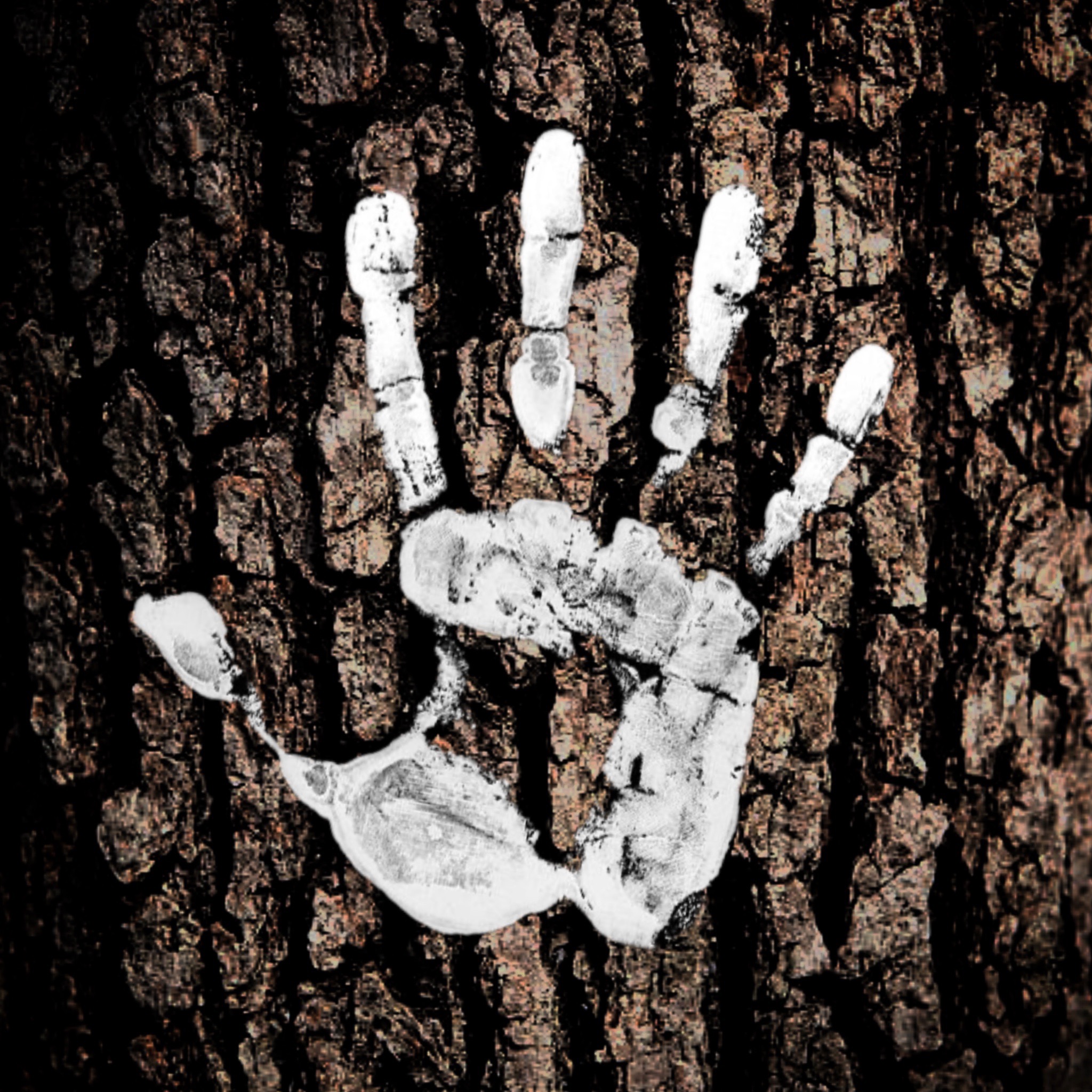 Waypoints in the Woods