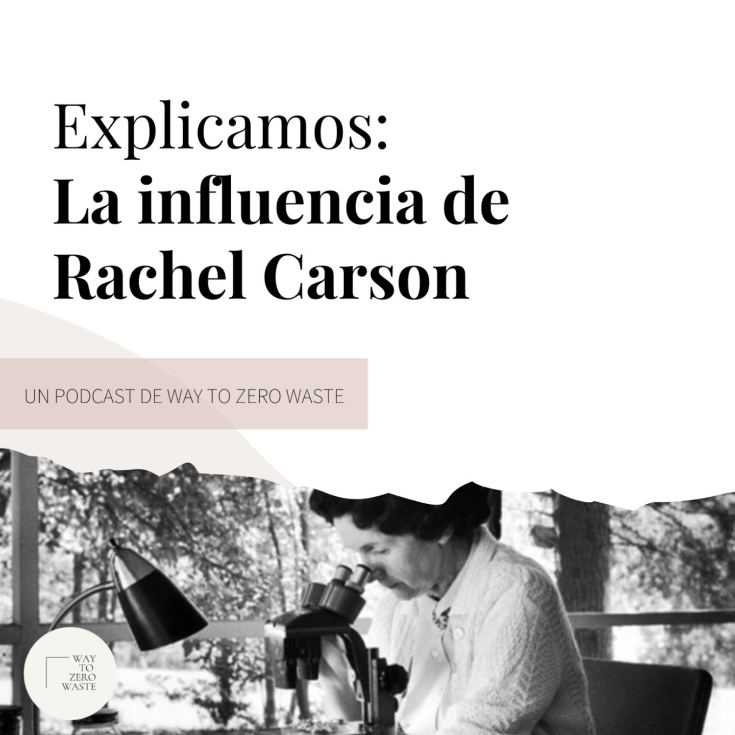 La influencia de Rachel Carson episode artwork