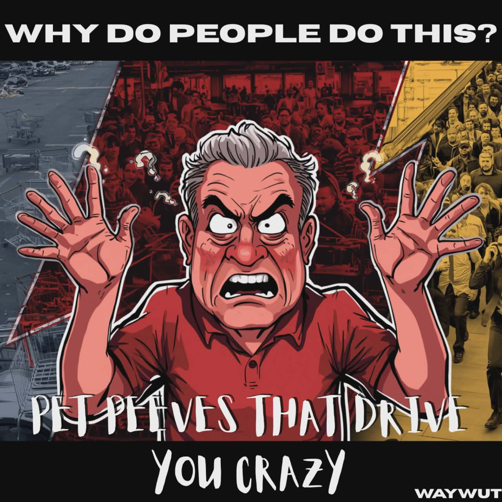 Why Do People Do This (Pet Peeves That Make No Sense) episode artwork