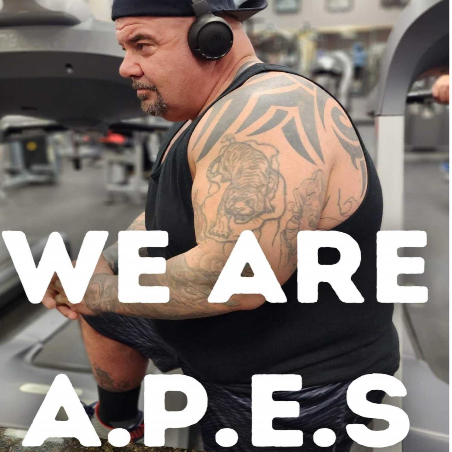 We are APES development