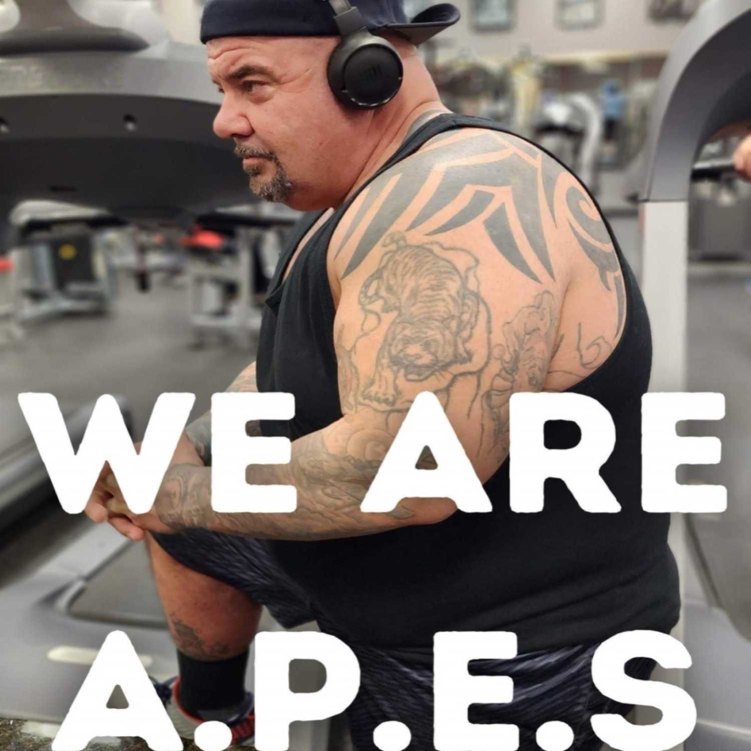 We are APES development