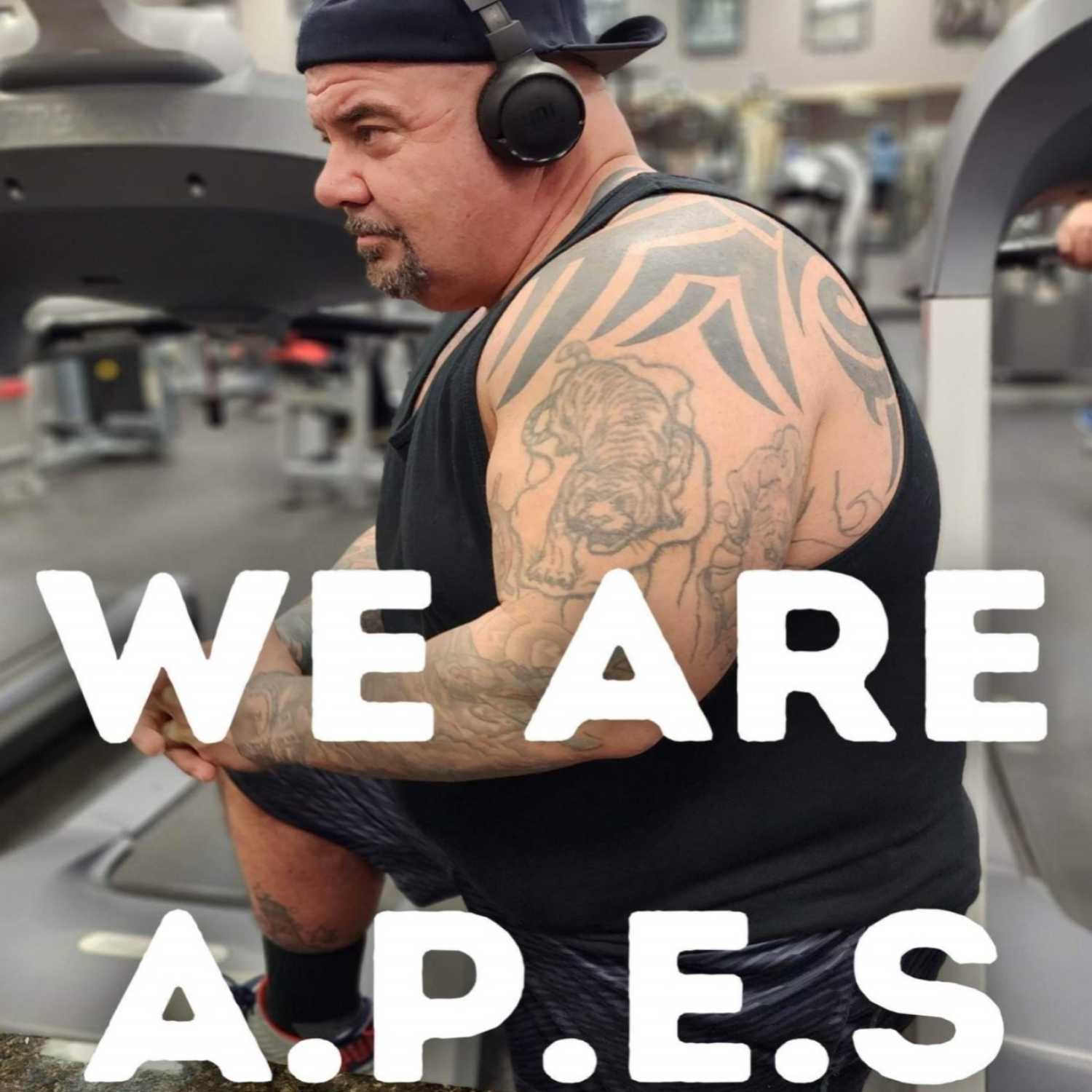 We are APES development