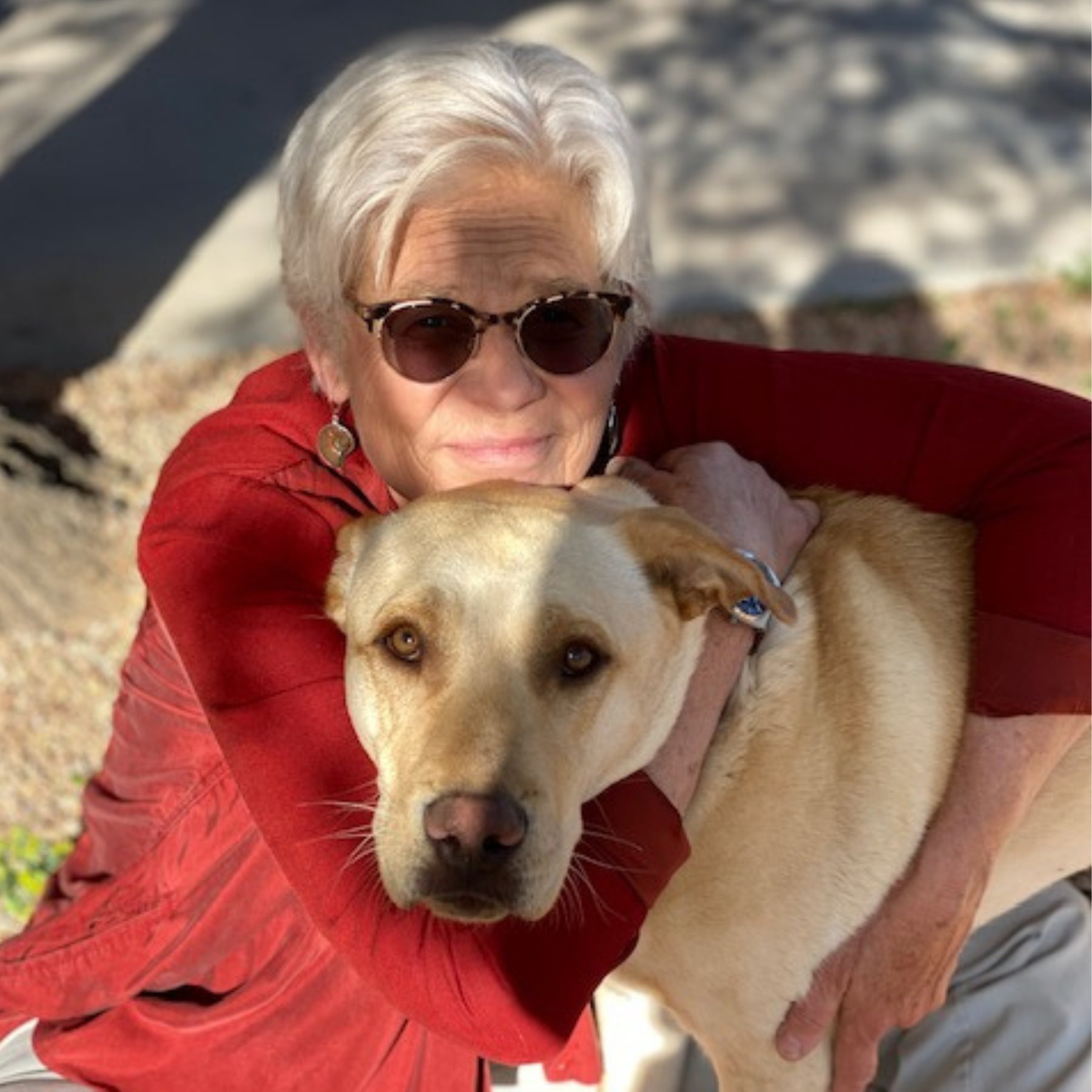 WeBeTheChange: Conversations with Evolutionaries