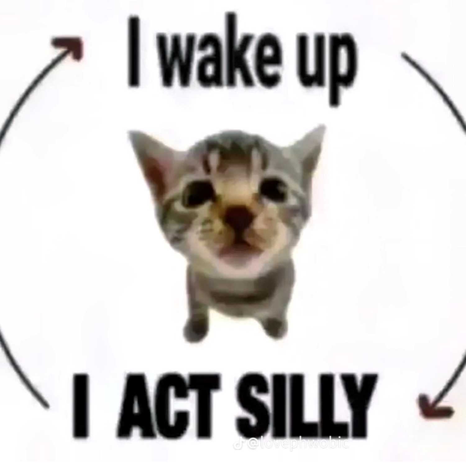 We are cool cover art