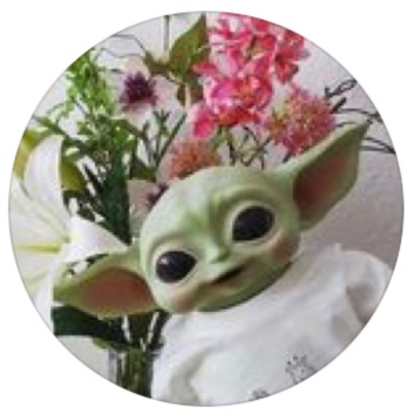 @baby.yoda.peanut