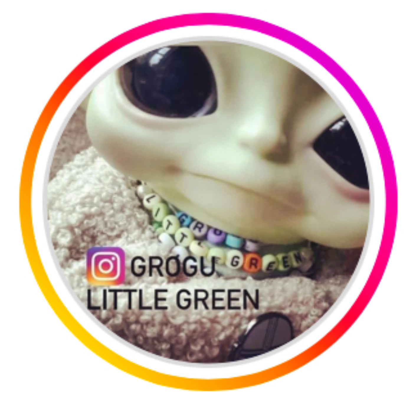 @grogulittlegreen