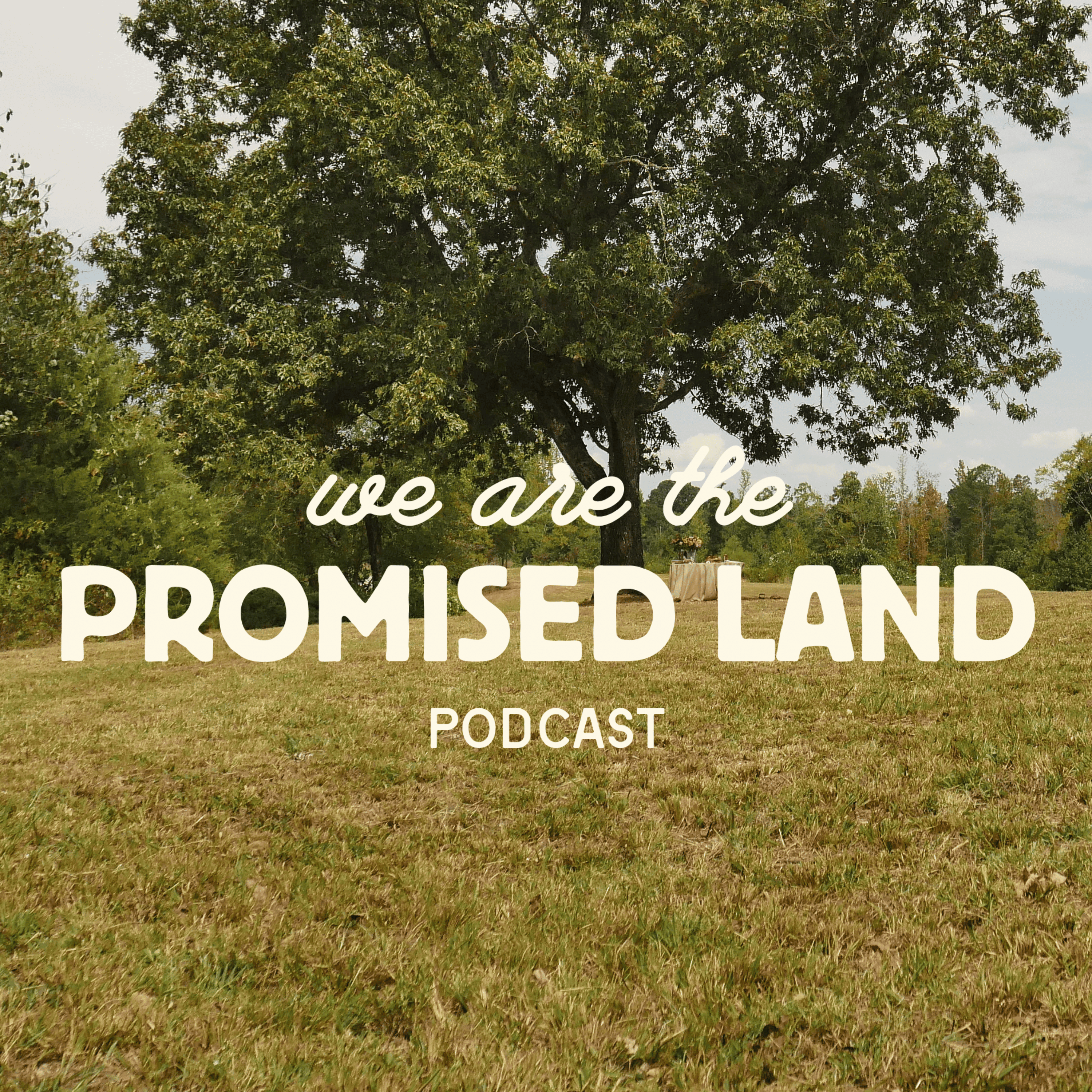 We Are the Promised Land cover art