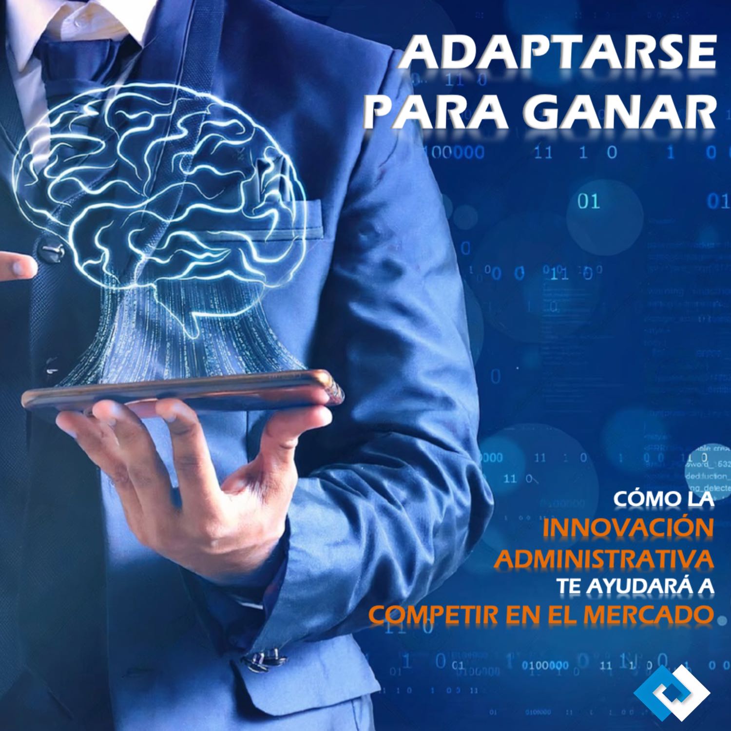 P&B WEBINARS