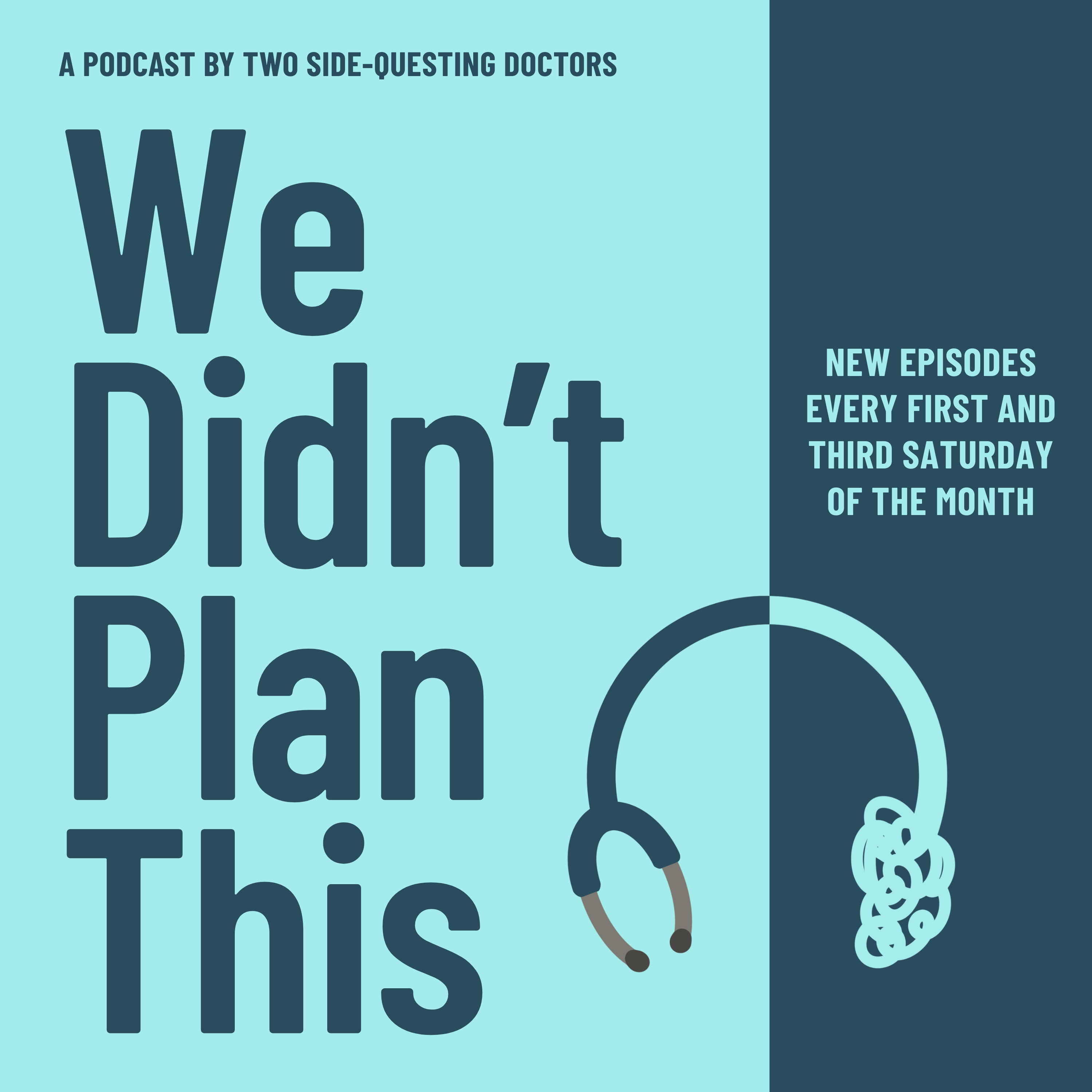 We Didn't Plan This – A Podcast for High-Achievers Rethinking the Path