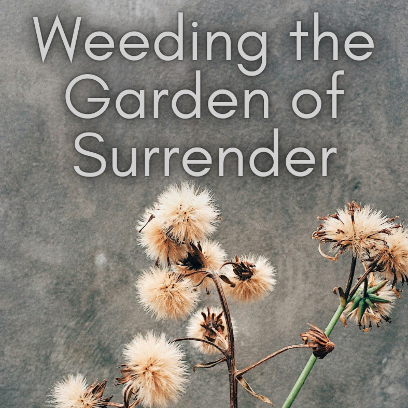 Weeding the Garden of Surrender
