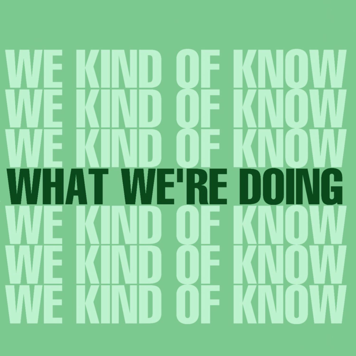 We kind of know what we’re doing cover art