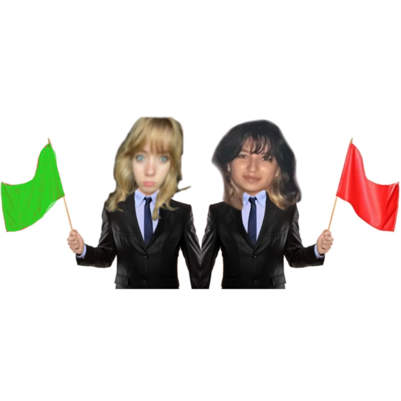 Red Flags, Green Flags, Icks
