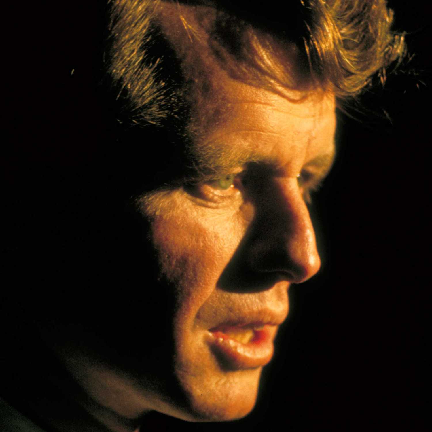 The Assassination of RFK Sr.