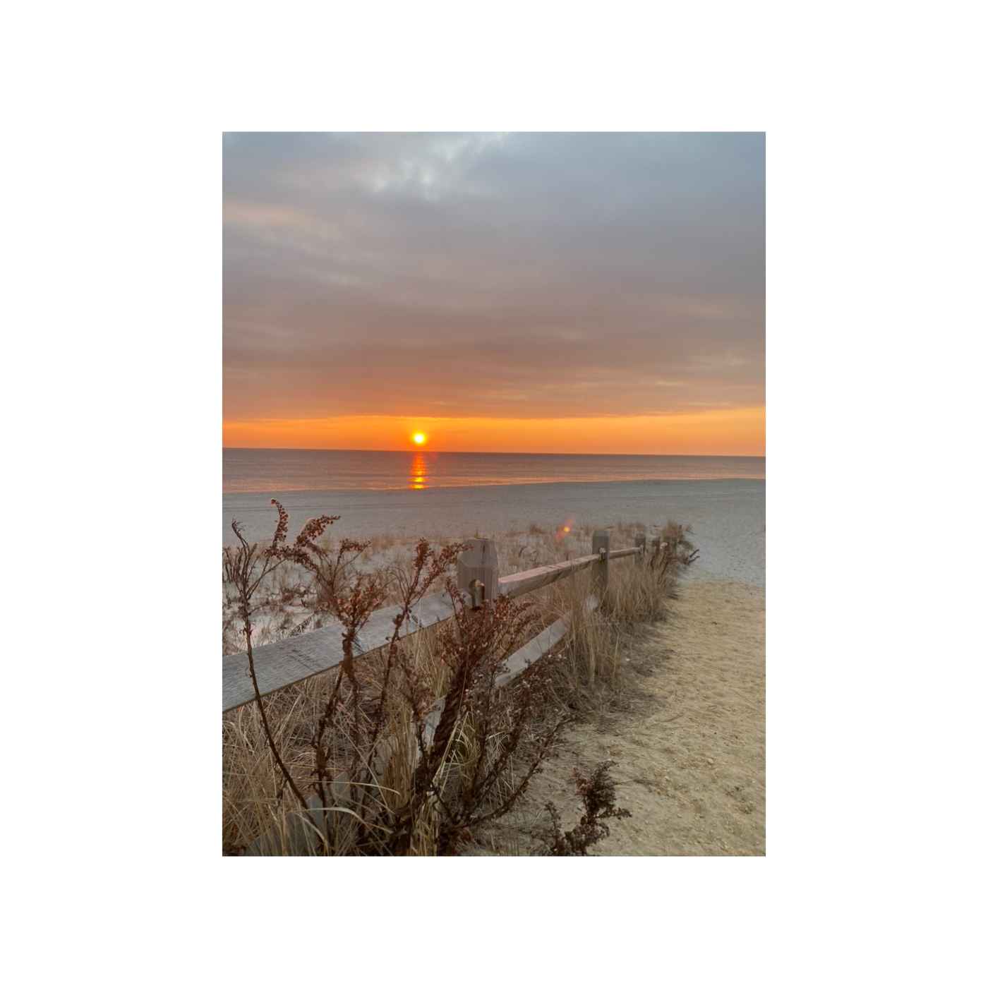 Wellness Waves: Body Image 