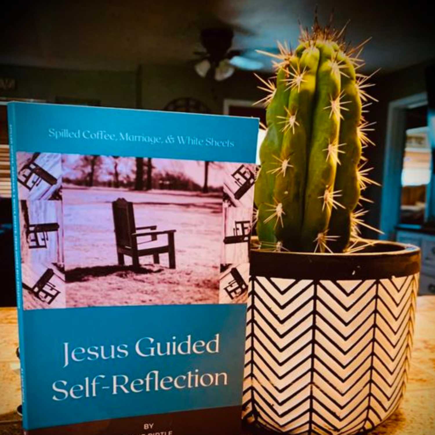 Episode 11 - Intro to Jesus Guided Self-Reflection